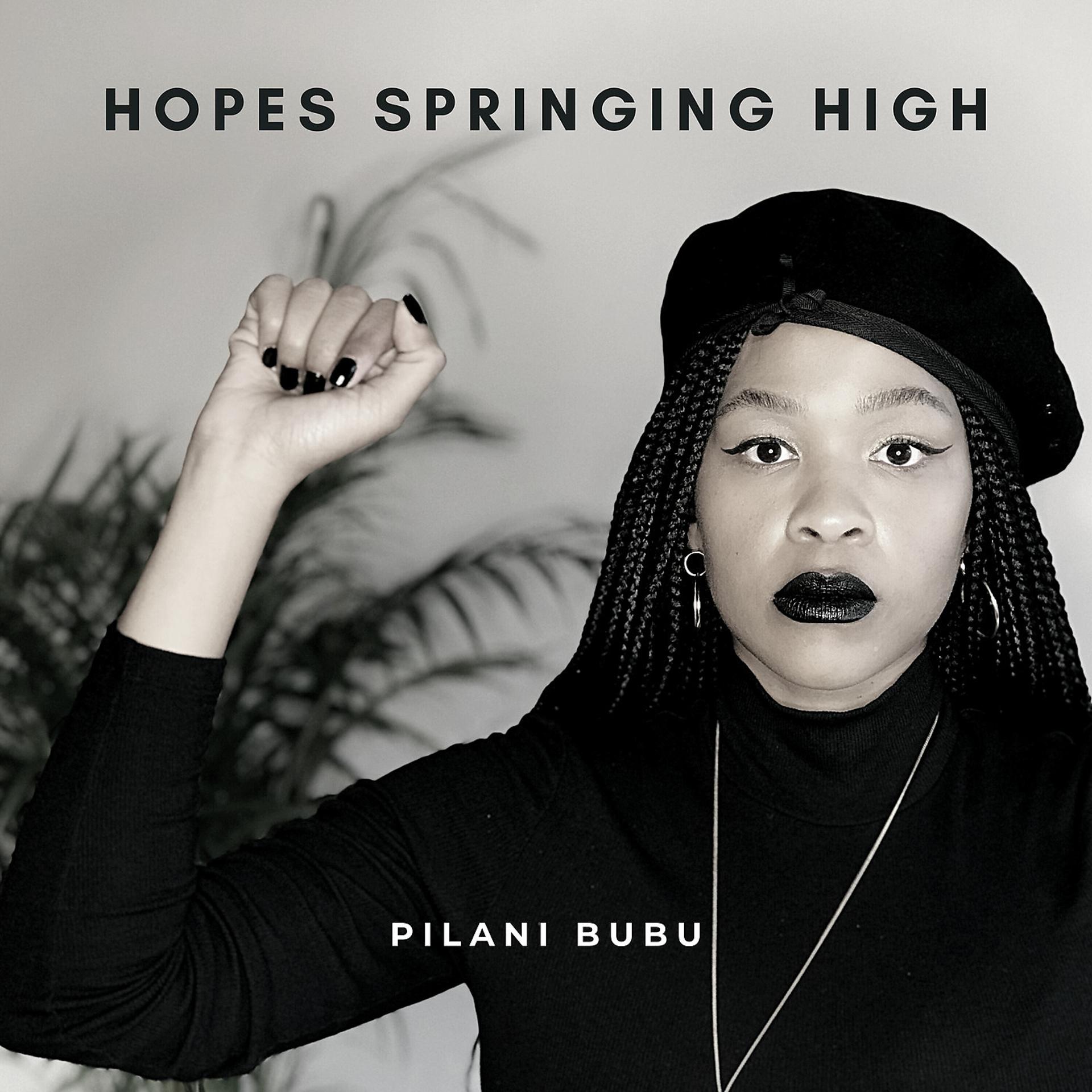 Постер альбома Hopes Springing High