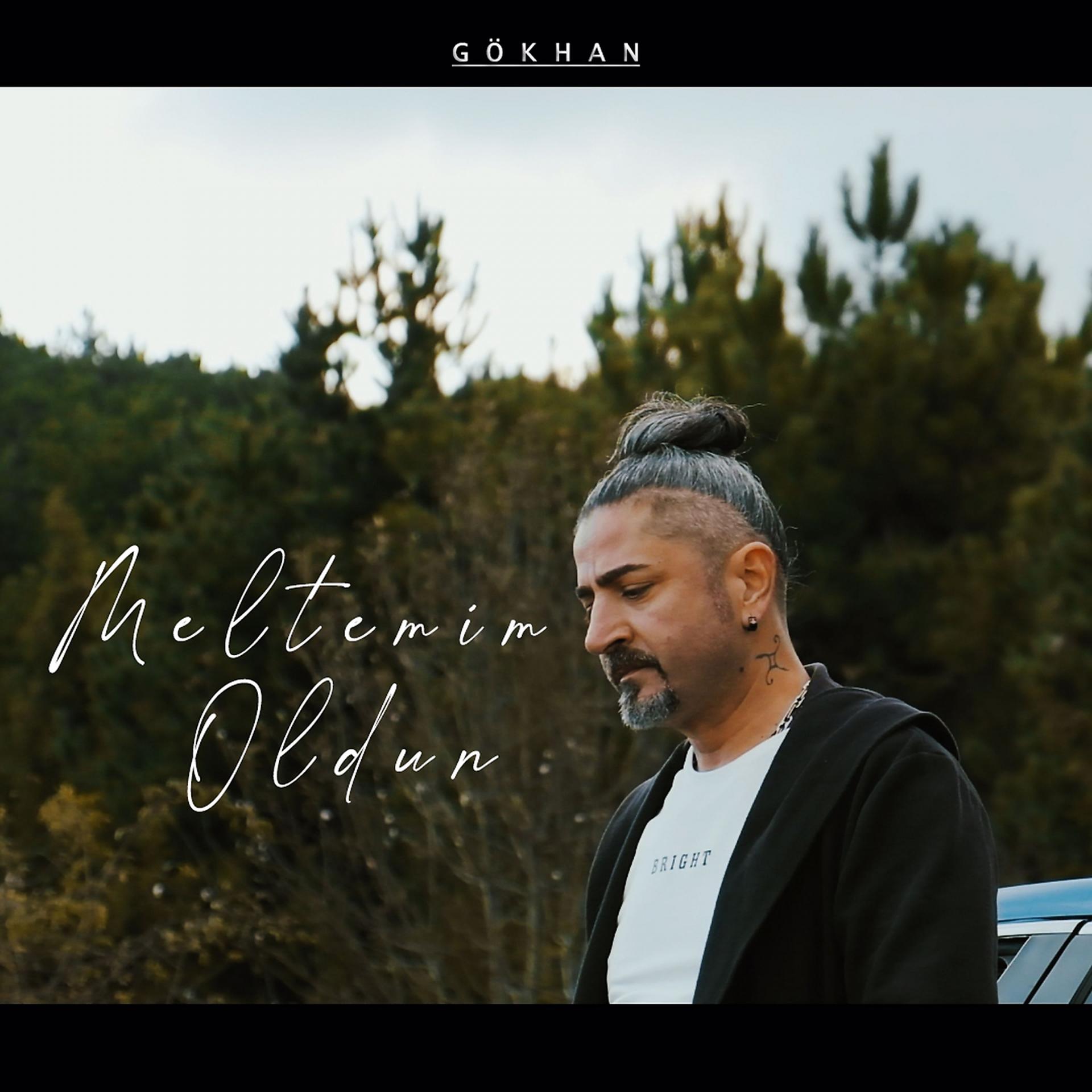 Постер альбома Meltemim Oldun