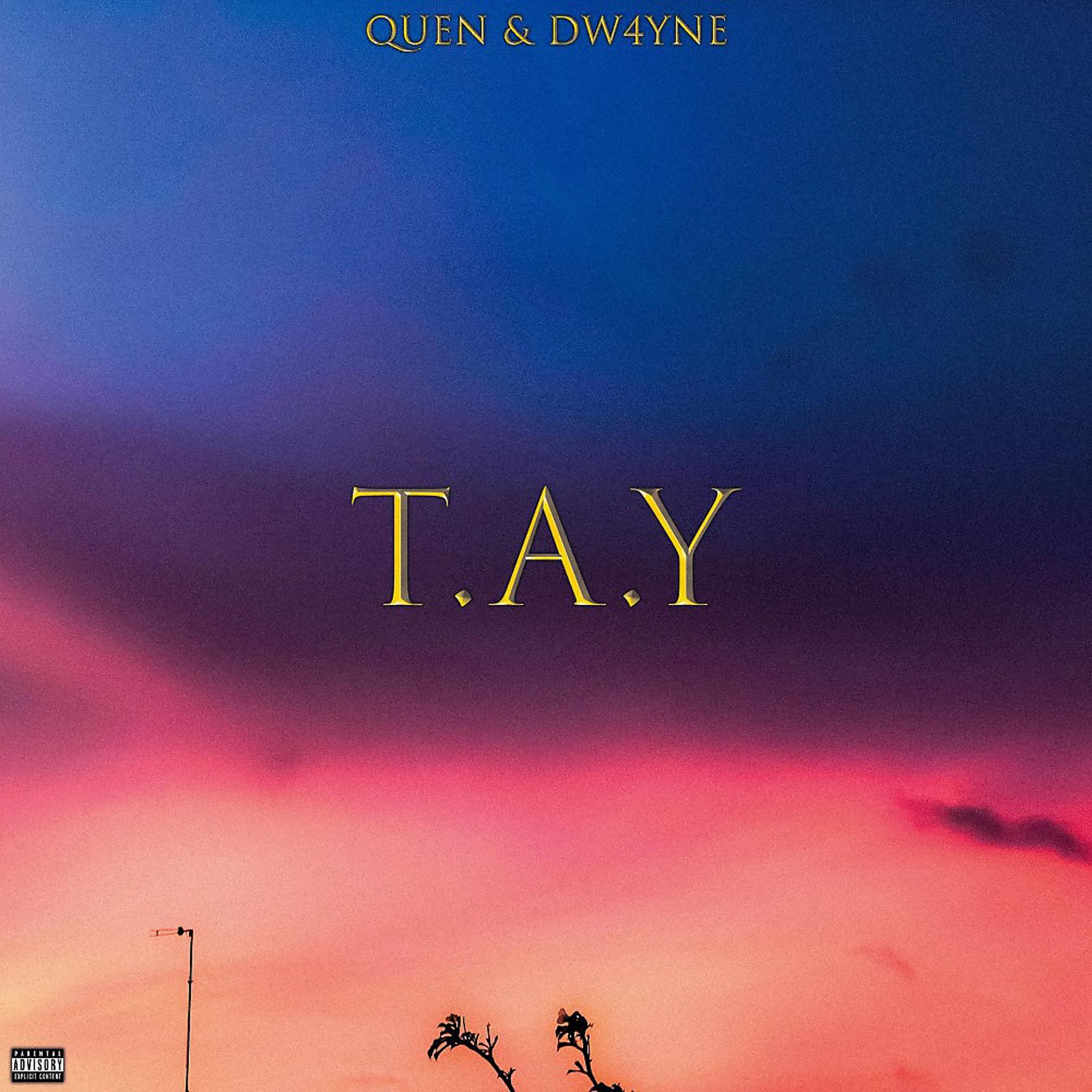 Постер альбома T.A.Y