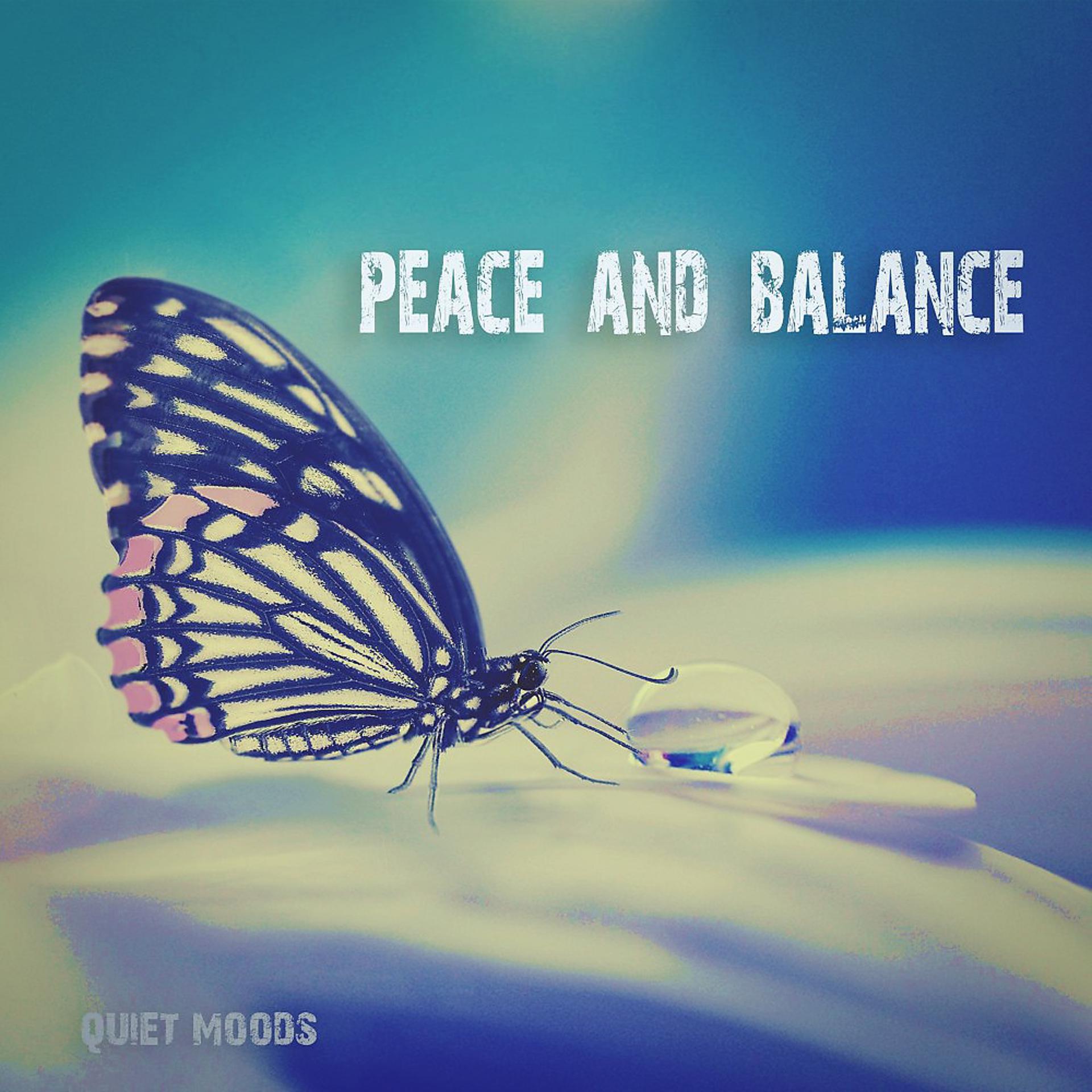 Постер альбома Peace and Balance
