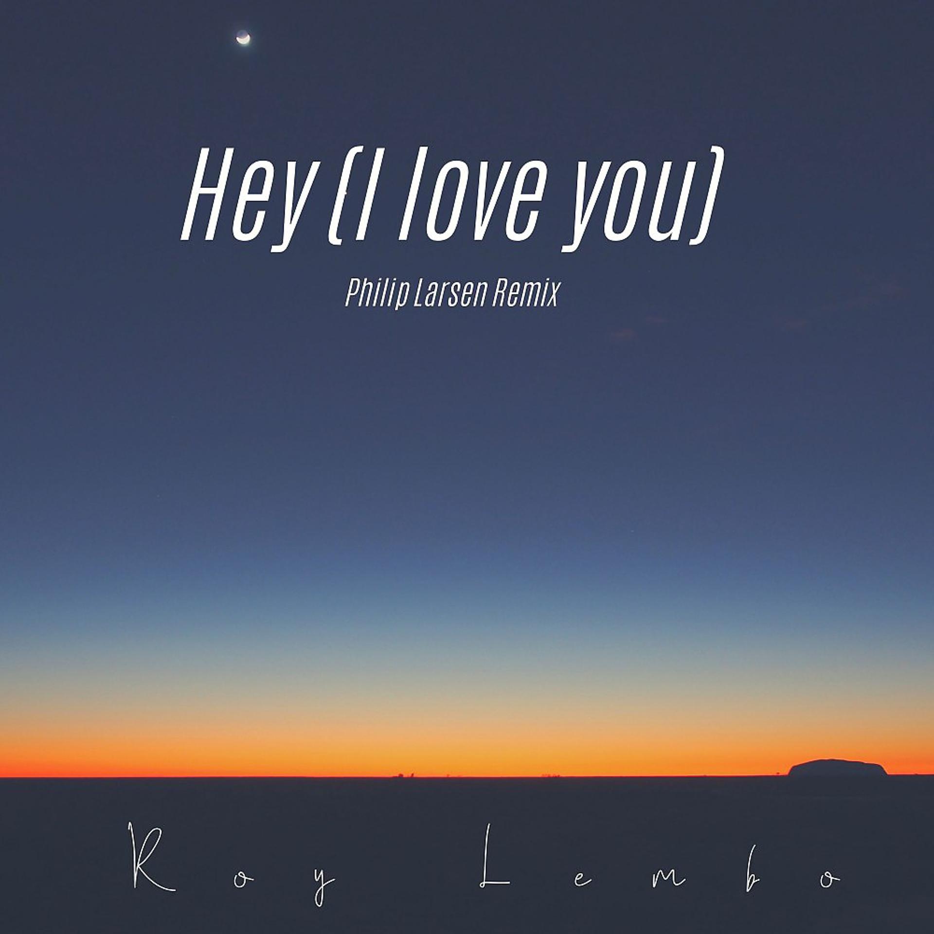 Постер альбома Hey (I Love You) [Philip Larsen Remix]
