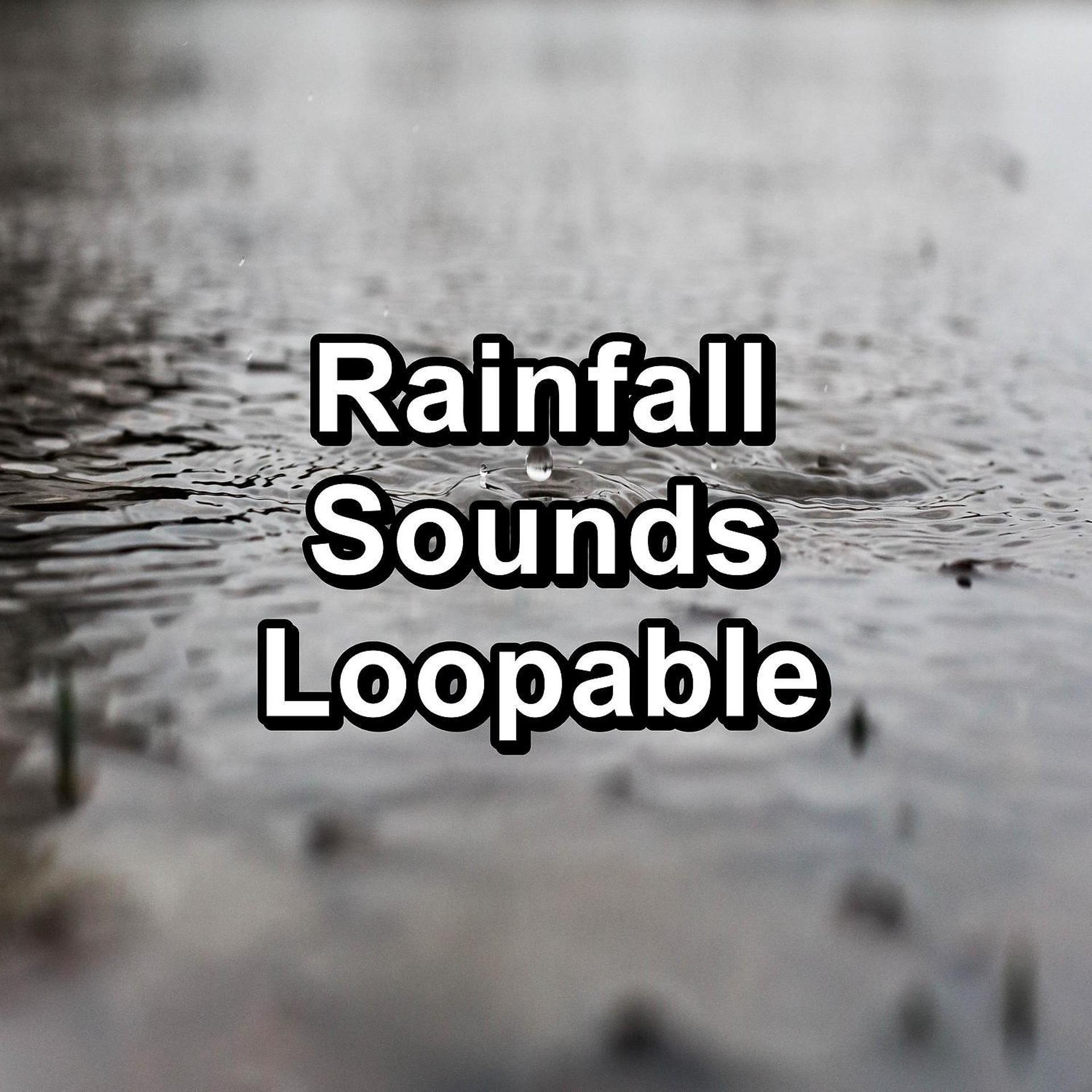 Постер альбома Rainfall Sounds Loopable