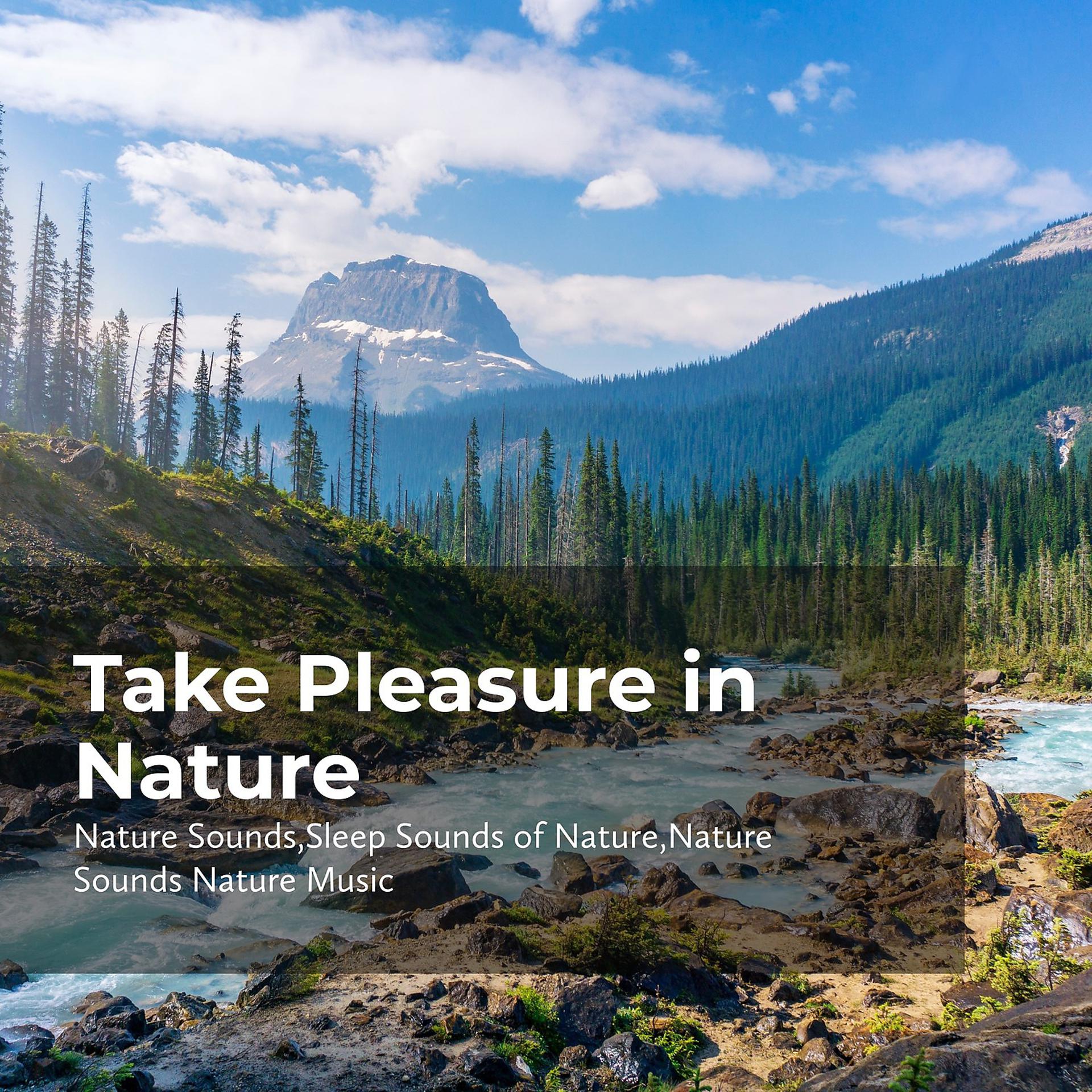Постер альбома Take Pleasure in Nature