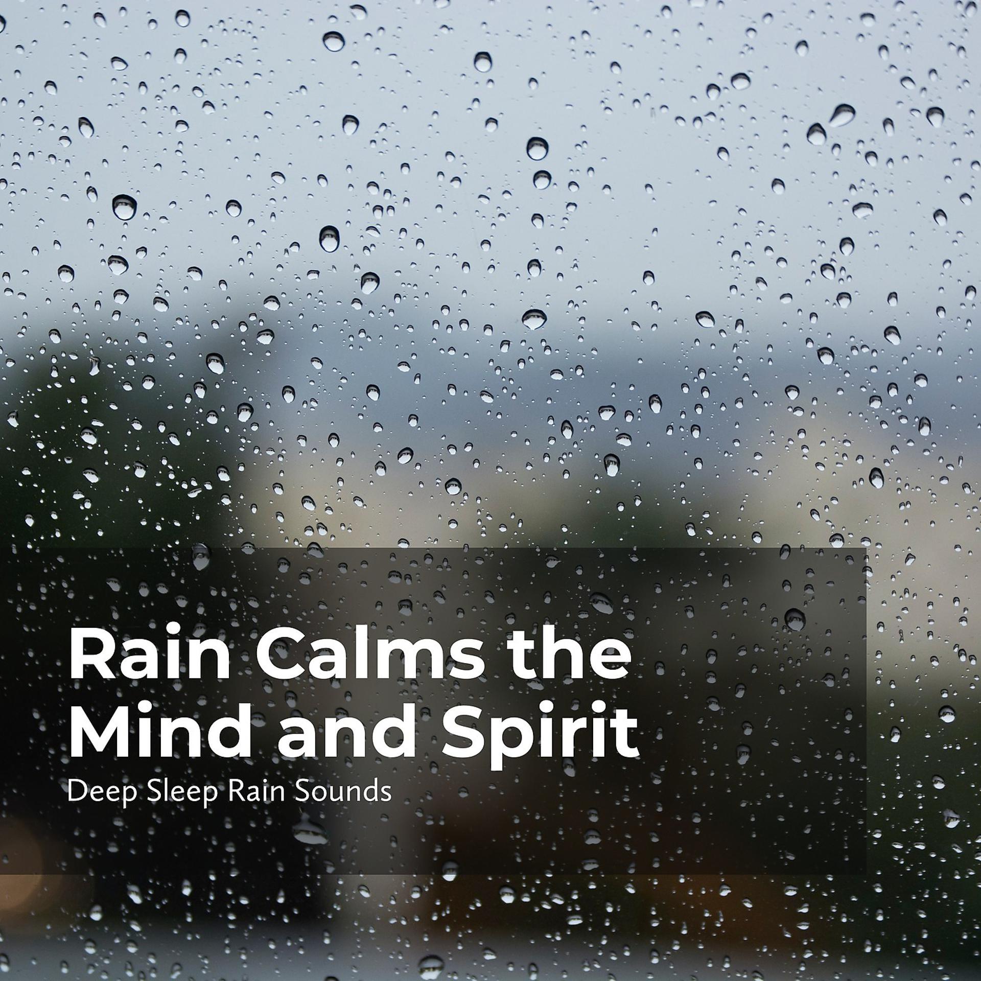 Постер альбома Rain Calms the Mind and Spirit