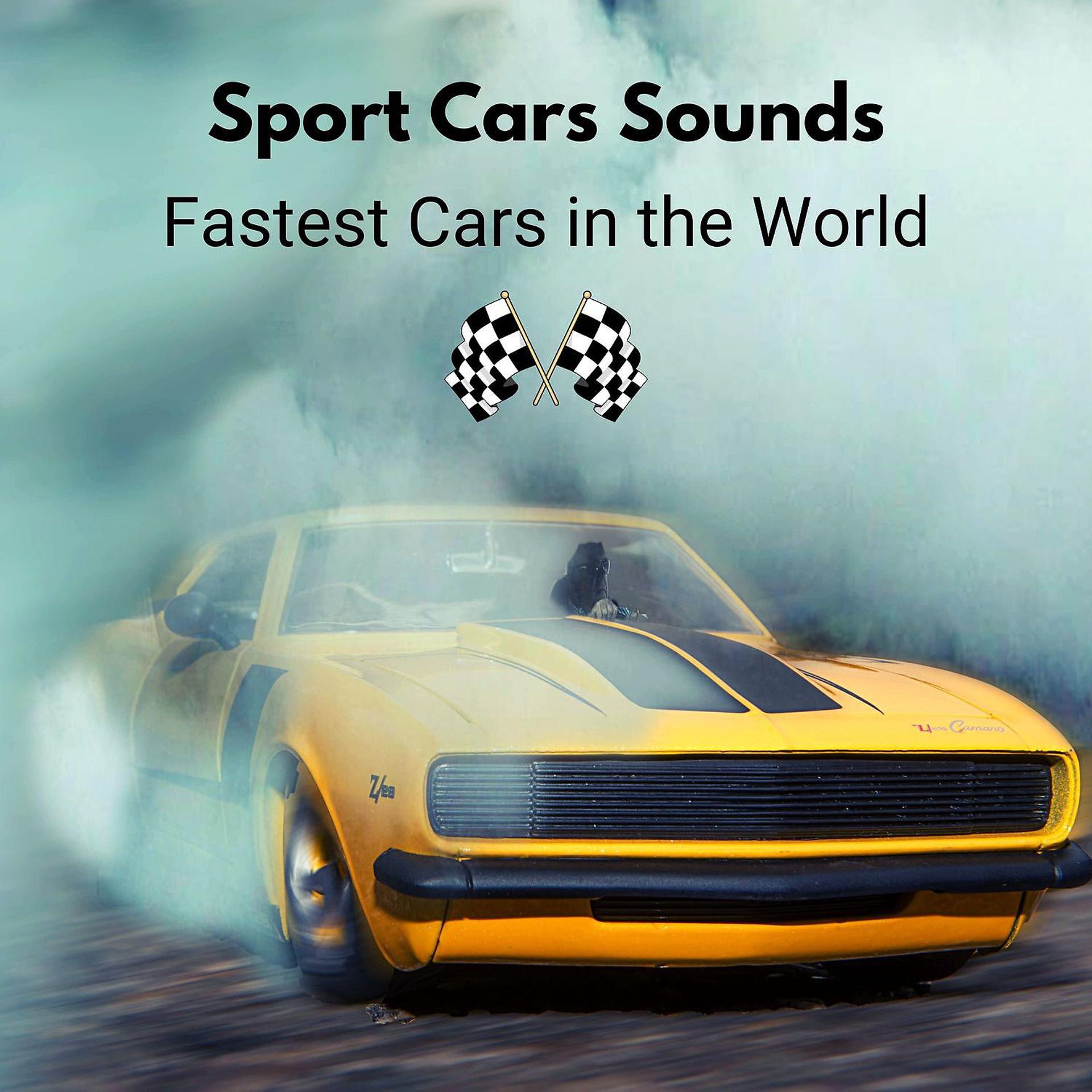 Постер альбома Sport Cars Sounds: Fastest Cars in the World