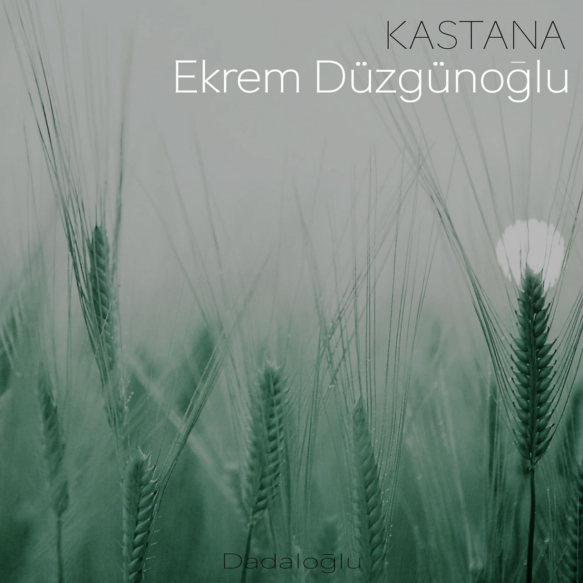 Постер альбома Kastana
