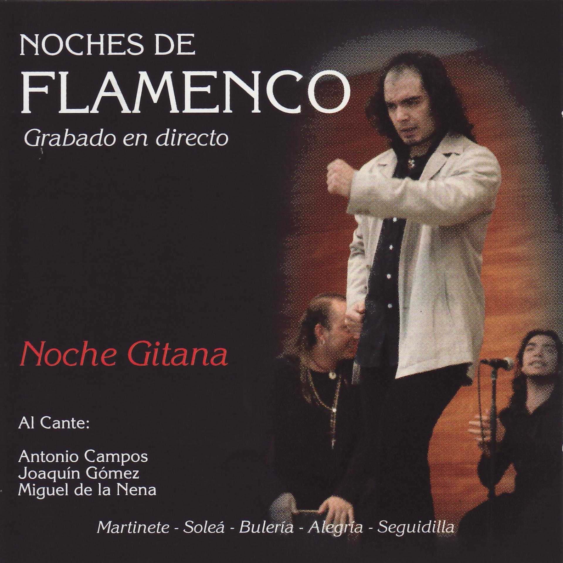 Постер альбома Noches de Flamenco - Noche Gitana