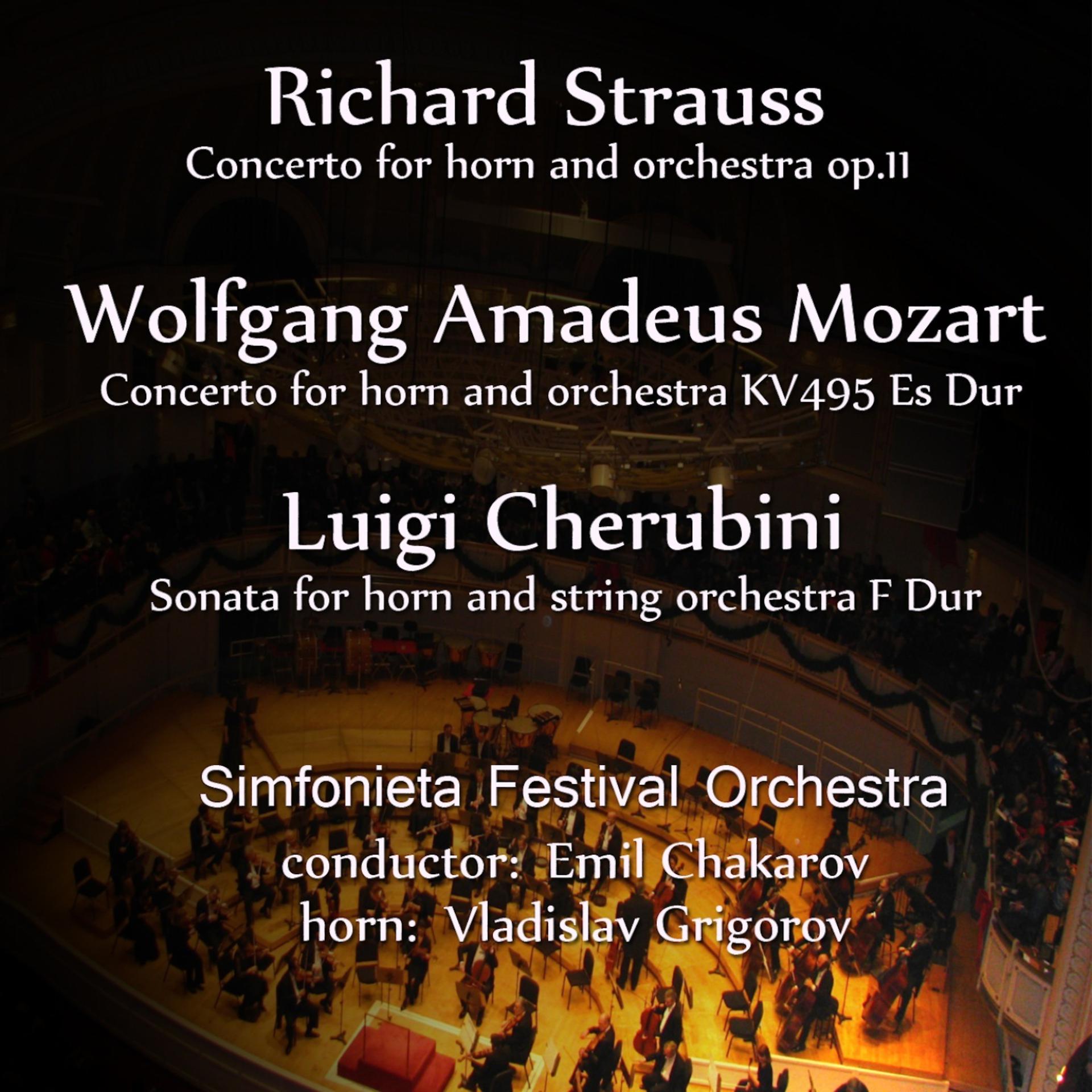 Постер альбома Richard Strauss-Wolfgang Amadeus Mozart-Luigi Cherubini: Selected Works