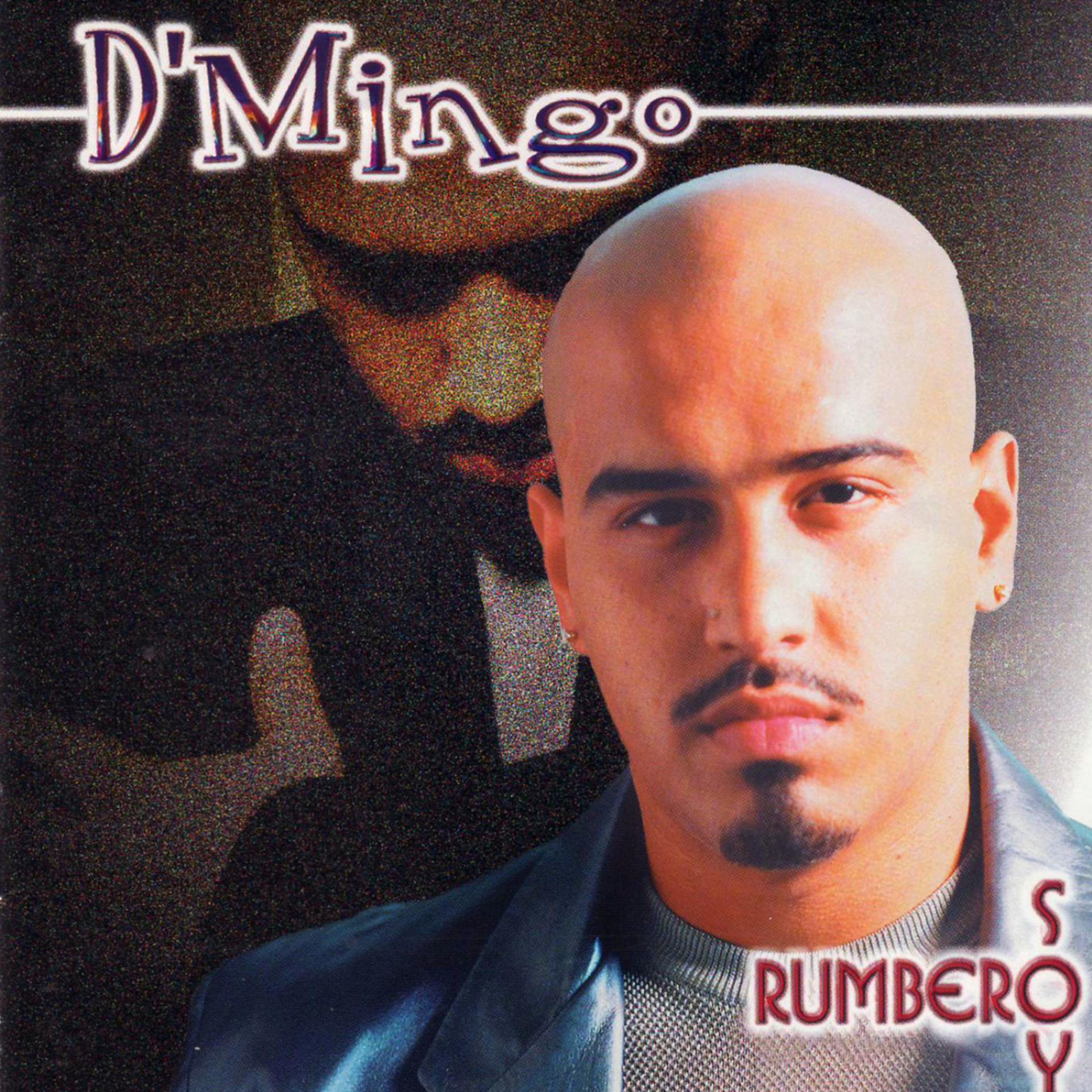 Постер альбома Rumbero Soy