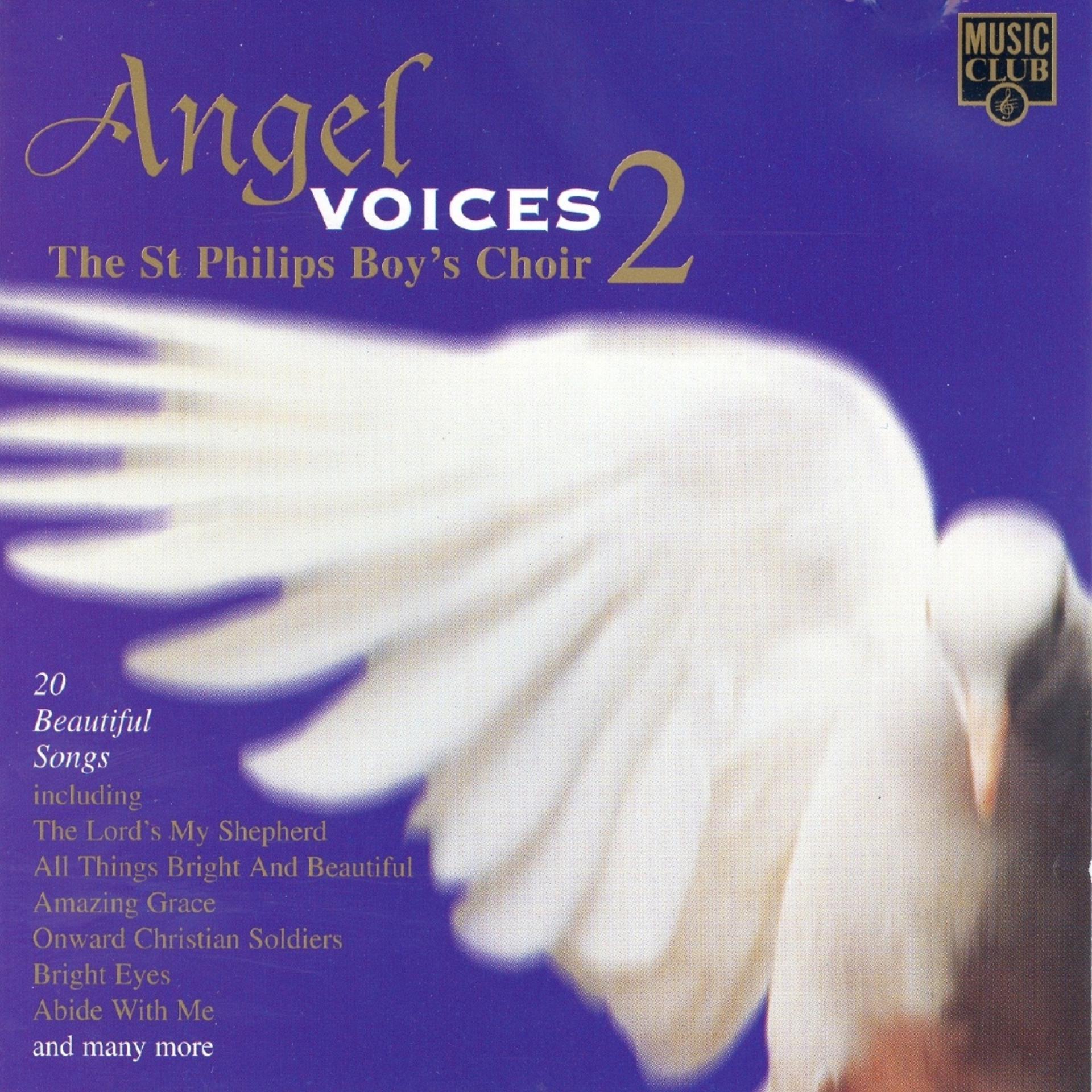 Постер альбома Angel Voices 2