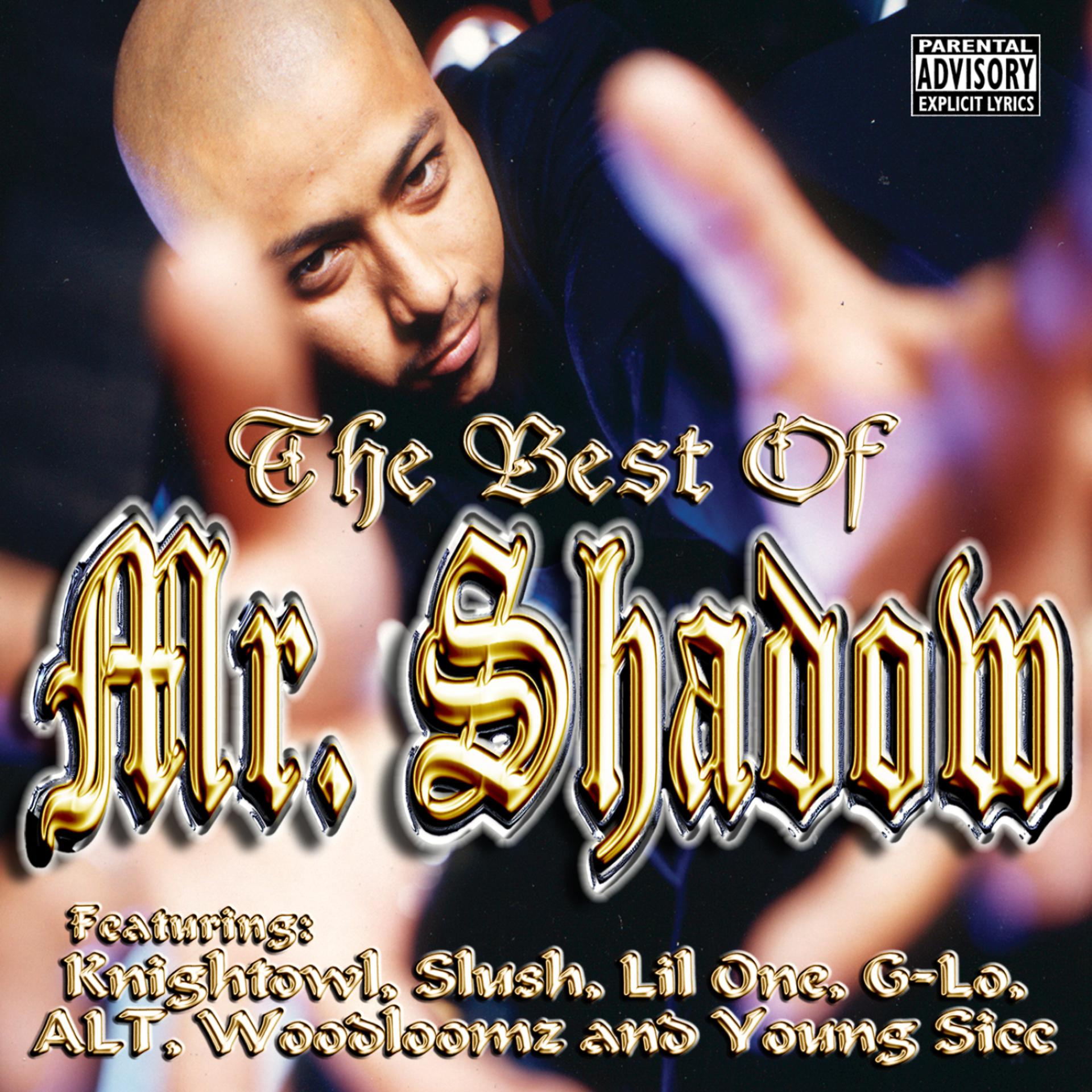 Постер альбома The Best of Mr. Shadow