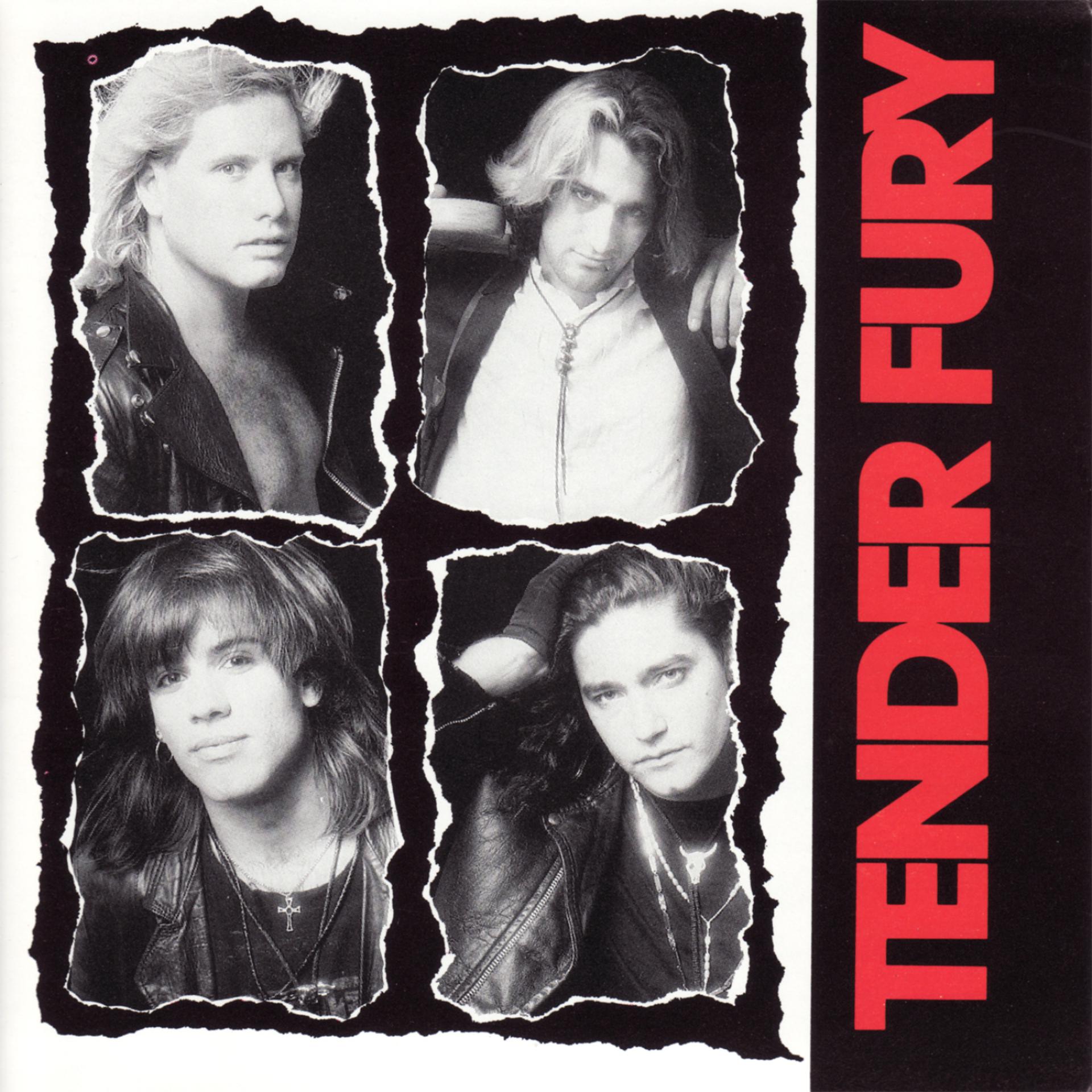 Постер альбома Tender Fury