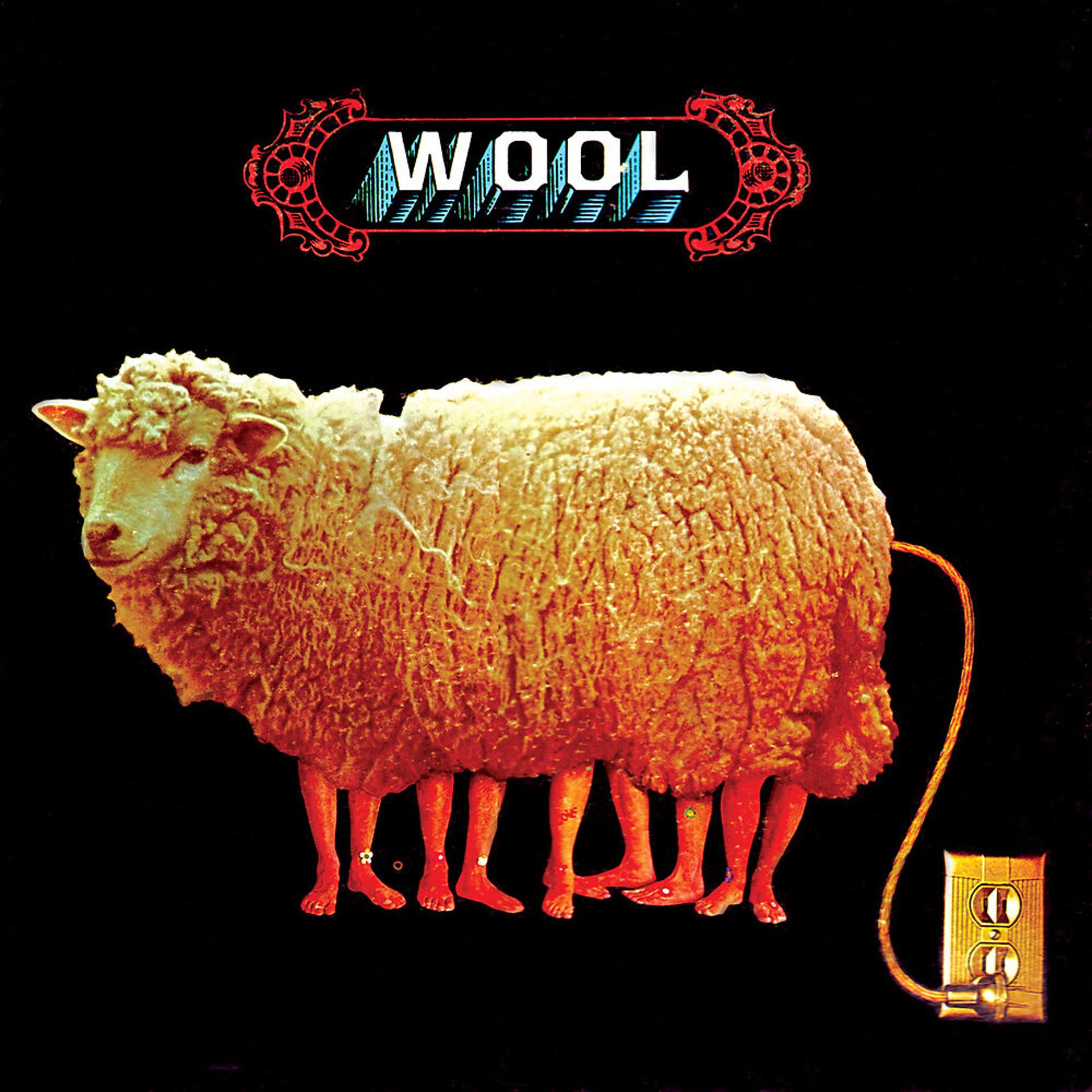 Постер альбома Wool