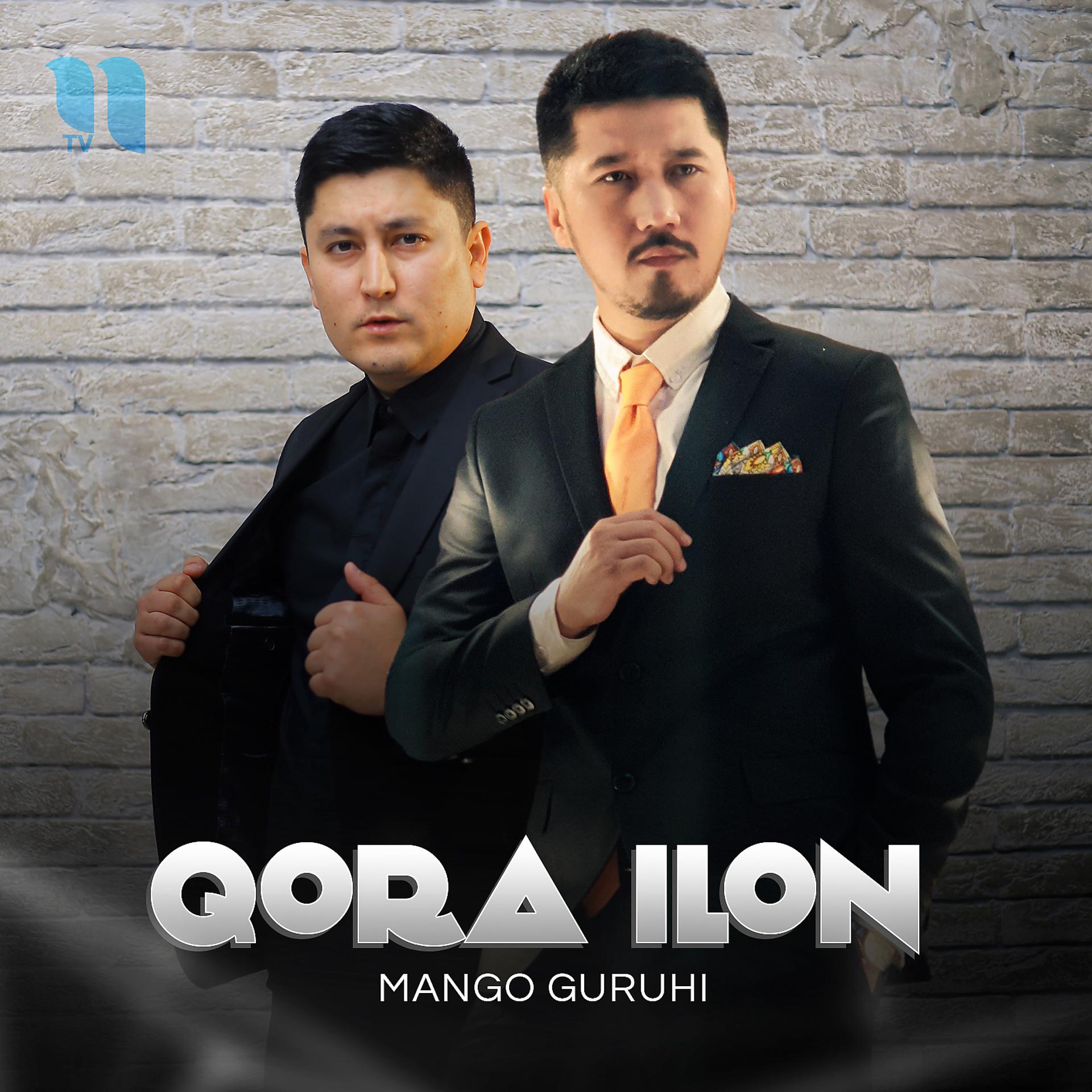 Постер альбома Qora Ilon