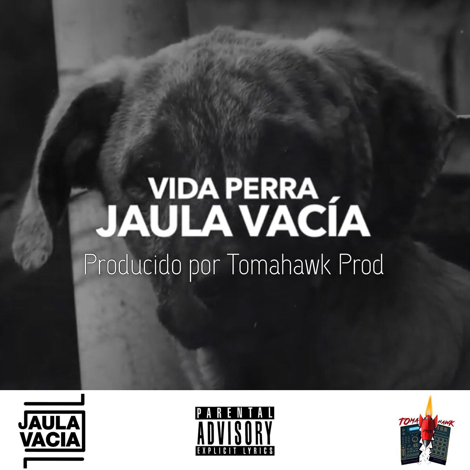 Постер альбома Vida Perra