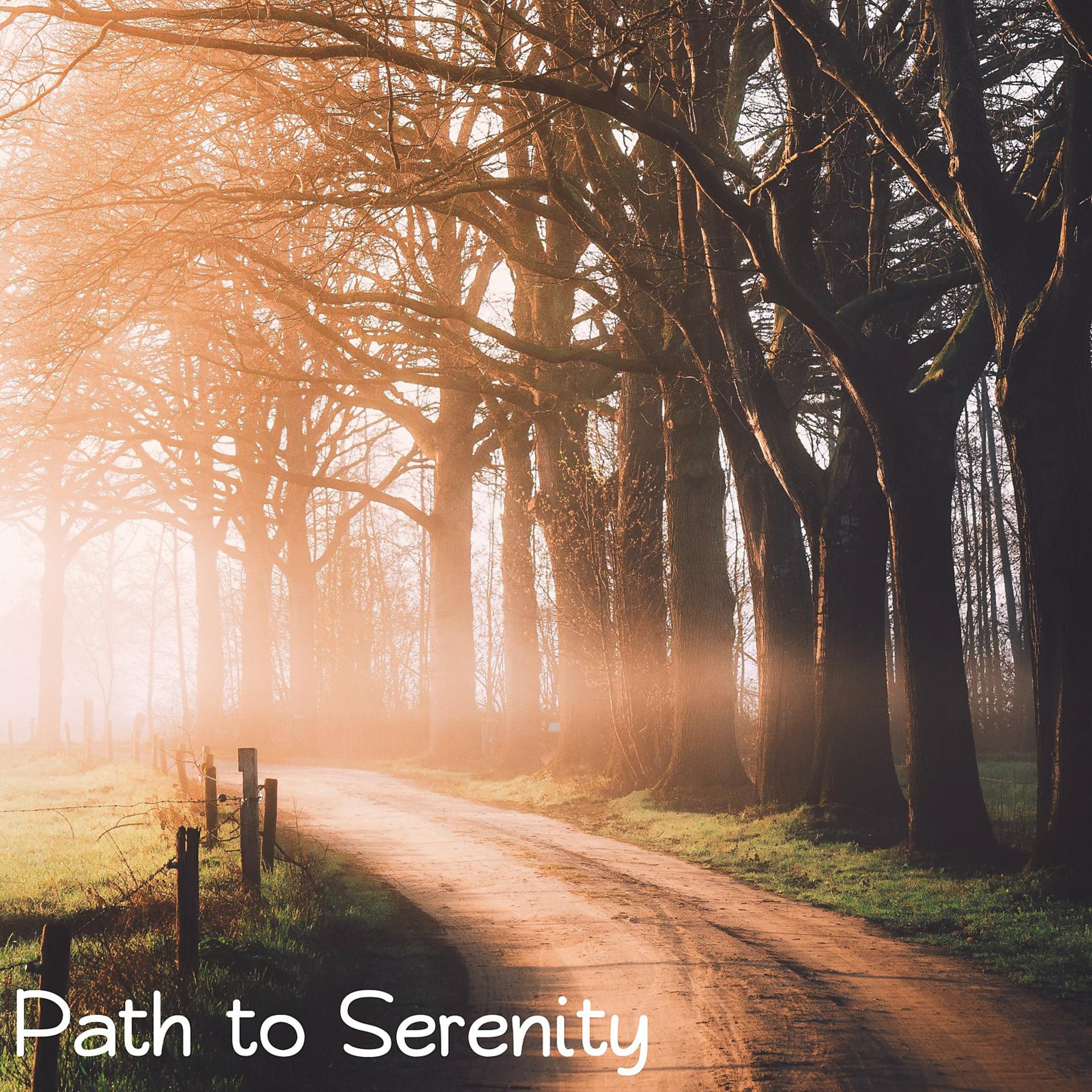 Постер альбома Path to Serenity