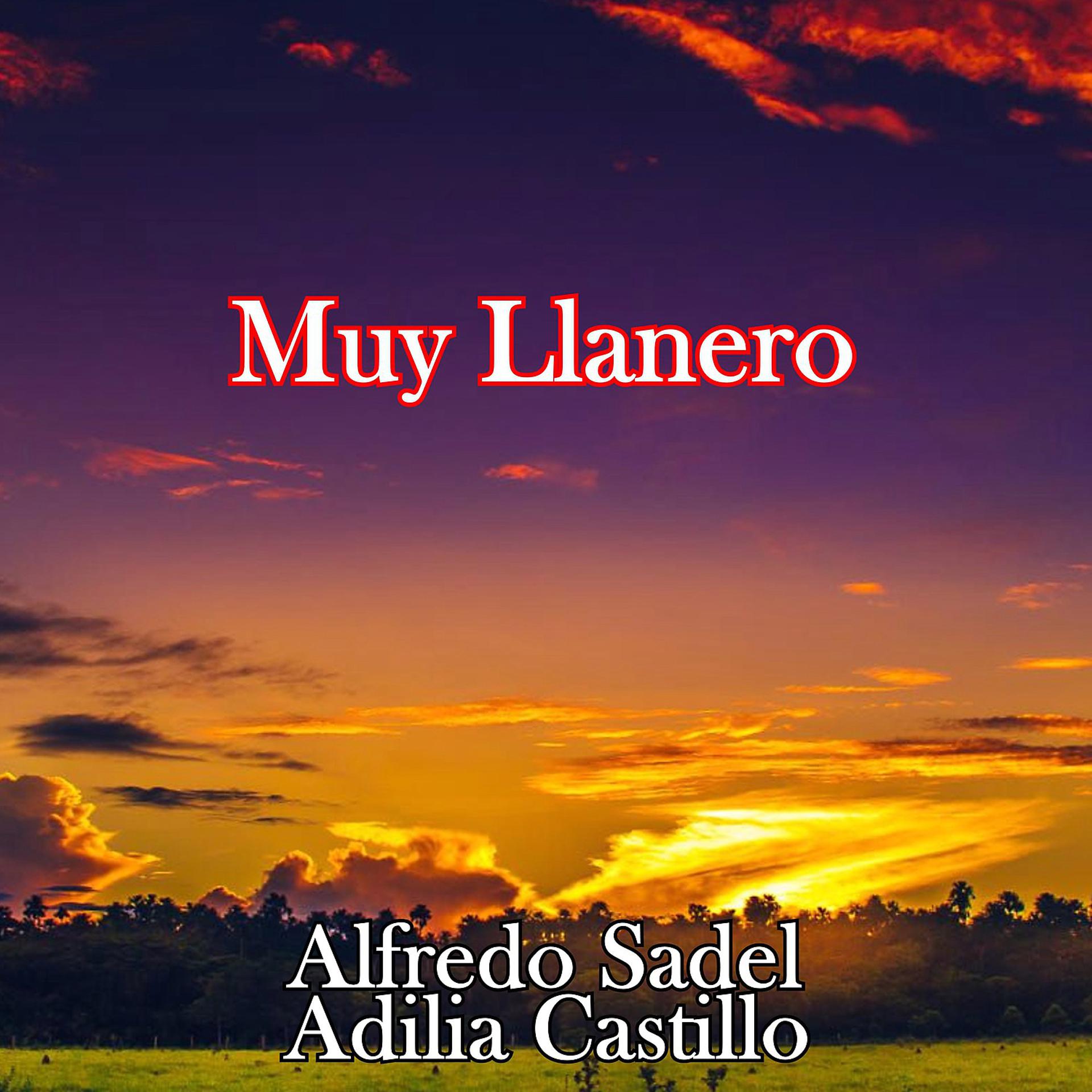 Постер альбома Muy Llanero