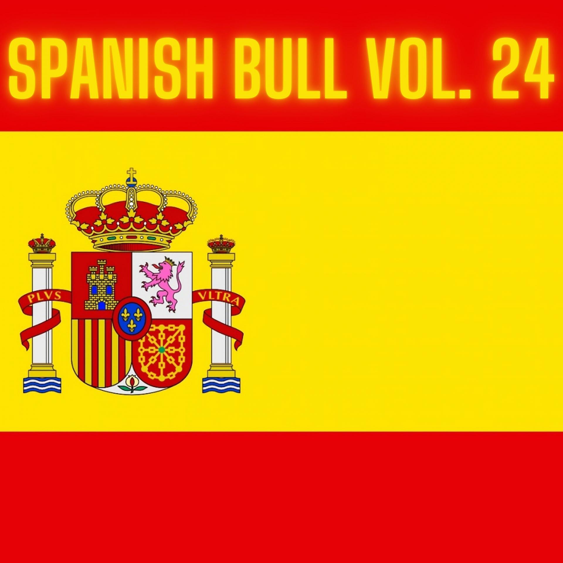 Постер альбома Spanish Bull Vol. 24