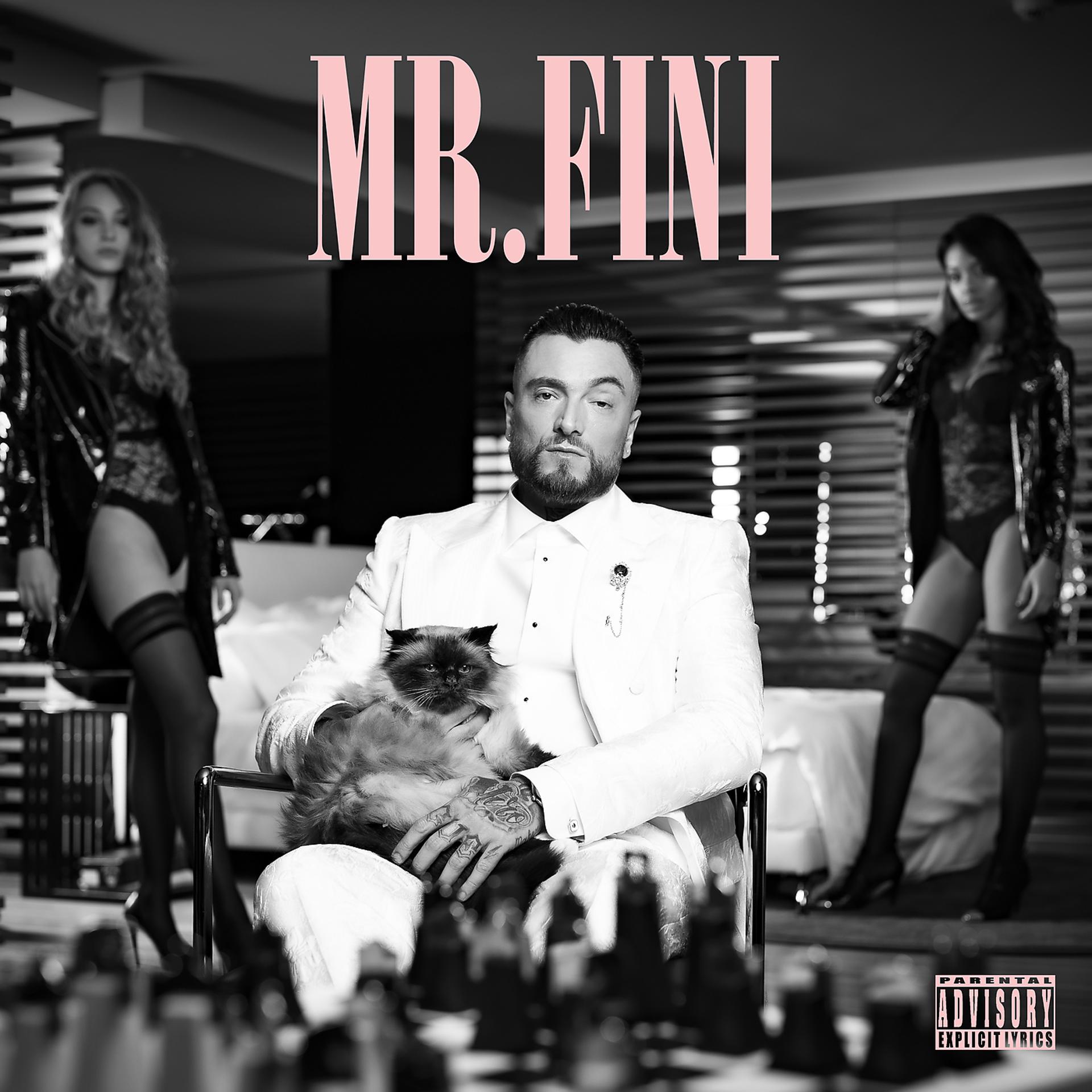 Постер альбома Mr. Fini