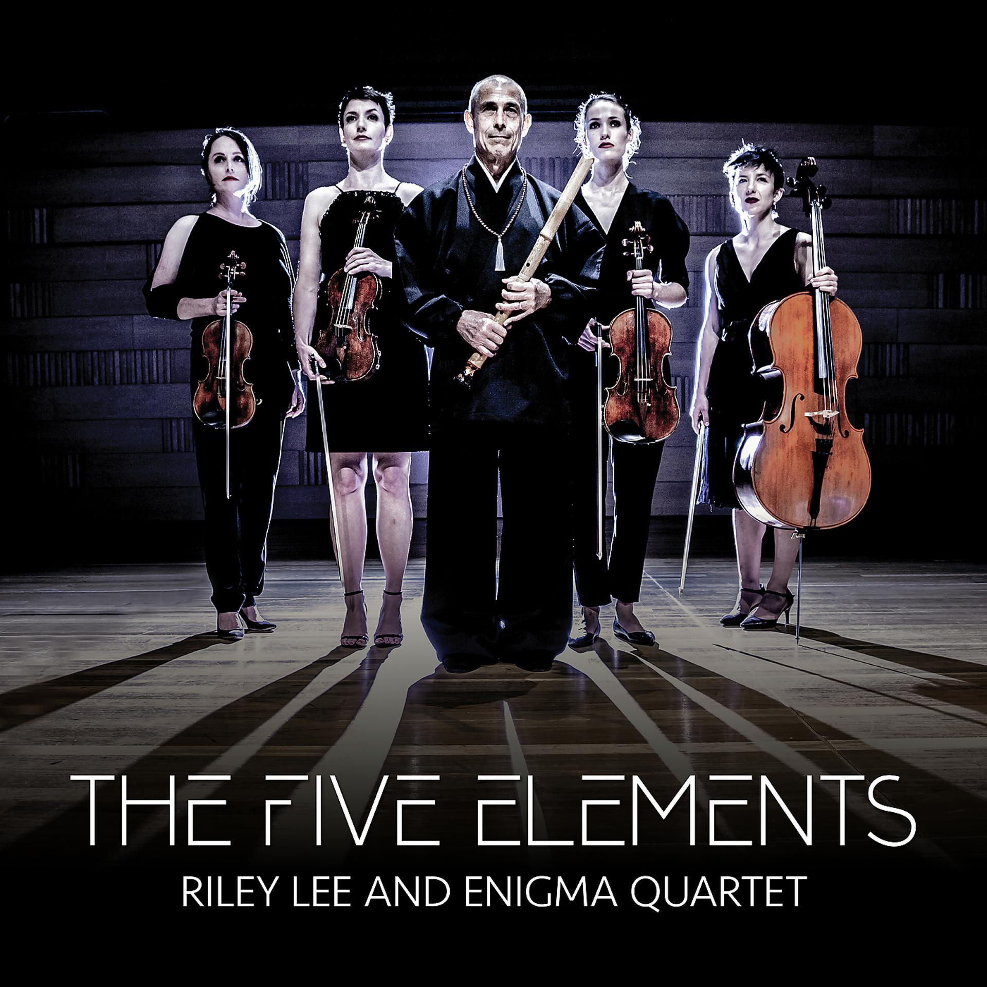 Постер к треку Riley Lee, Enigma Quartet - Skipworth: Light Rain