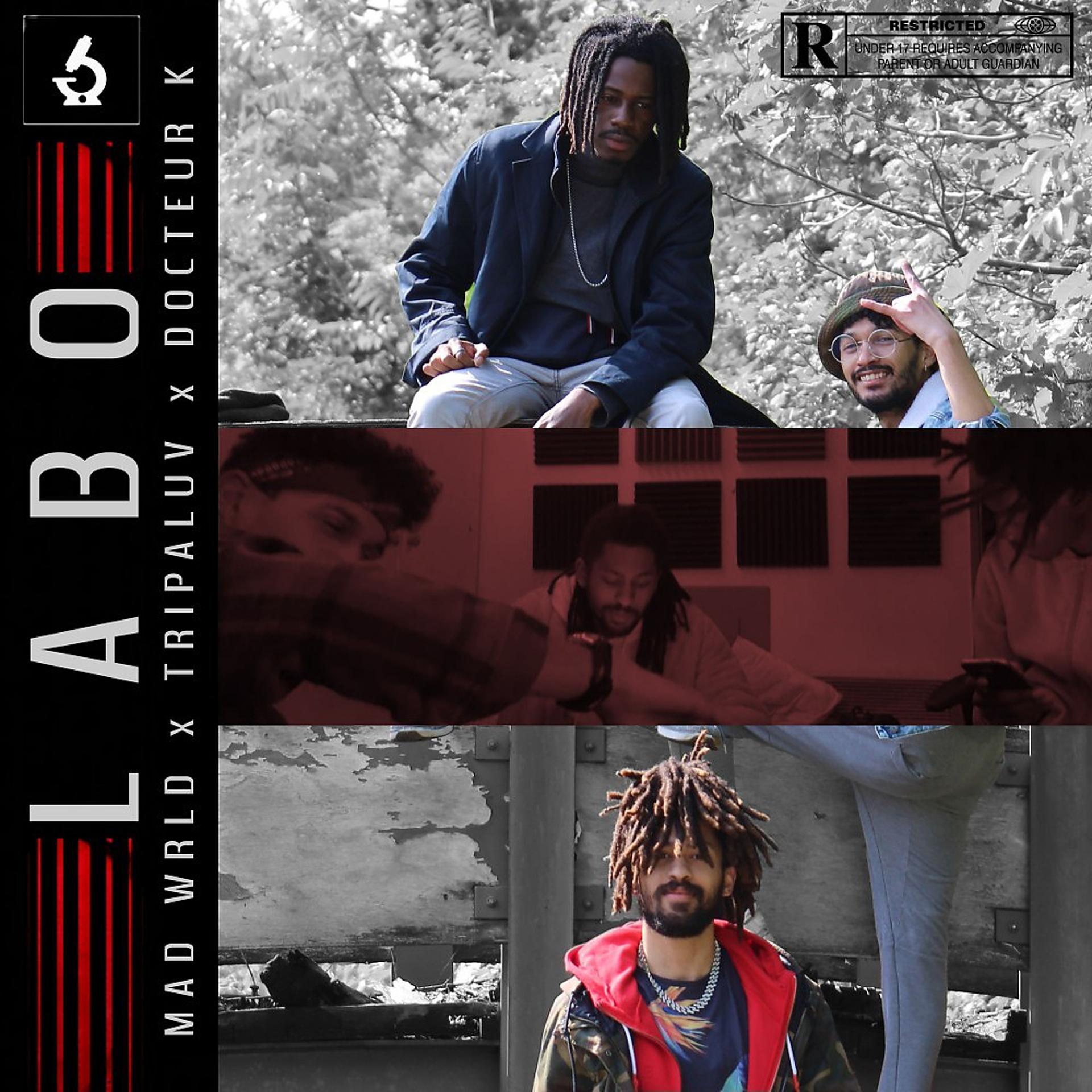 Постер альбома Labo