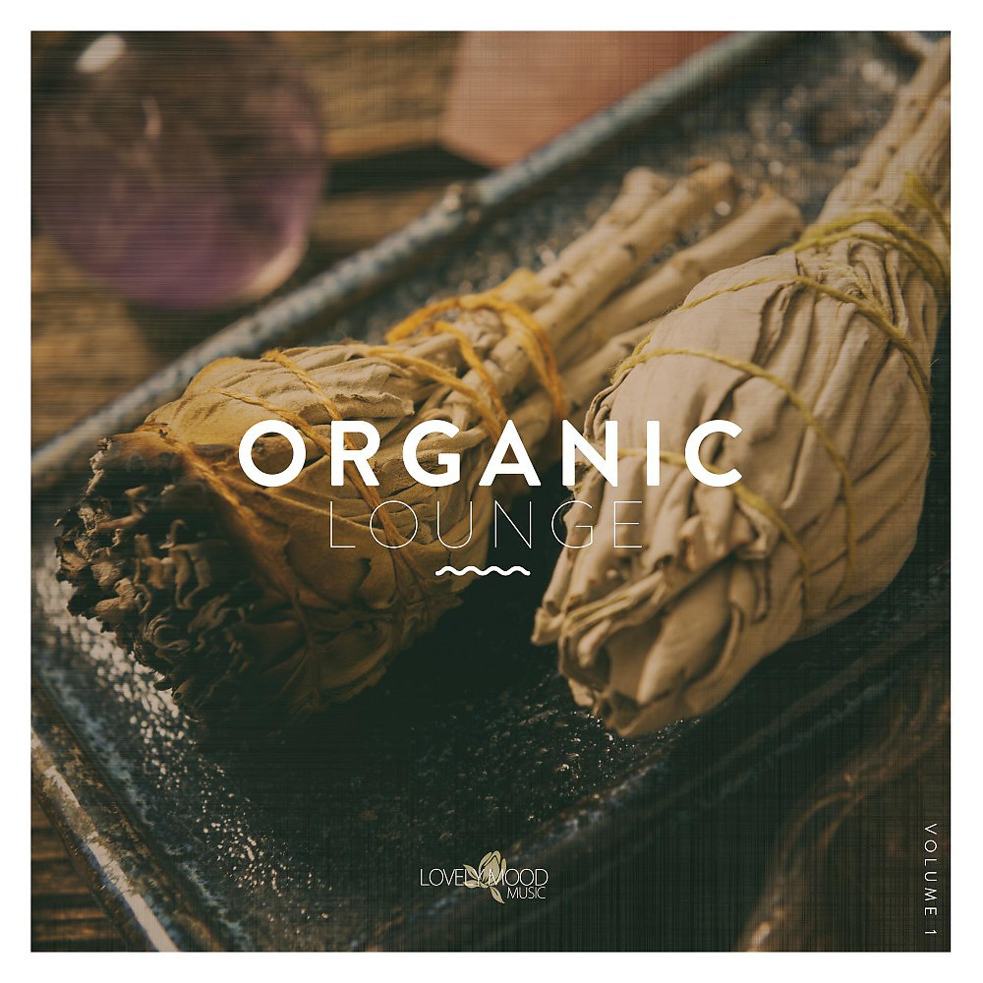 Постер альбома Organic Lounge, Vol. 1
