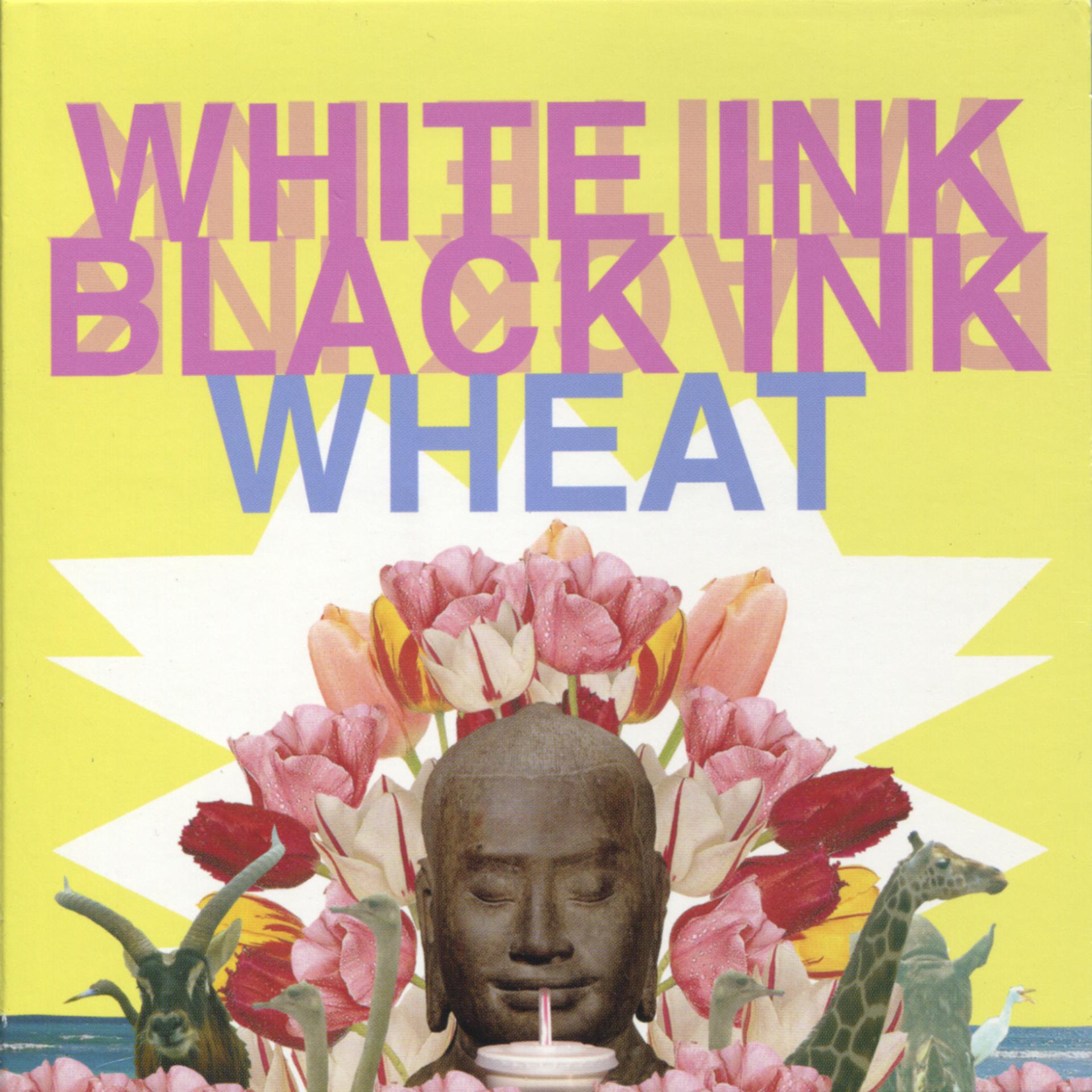 Постер альбома White Ink, Black Ink