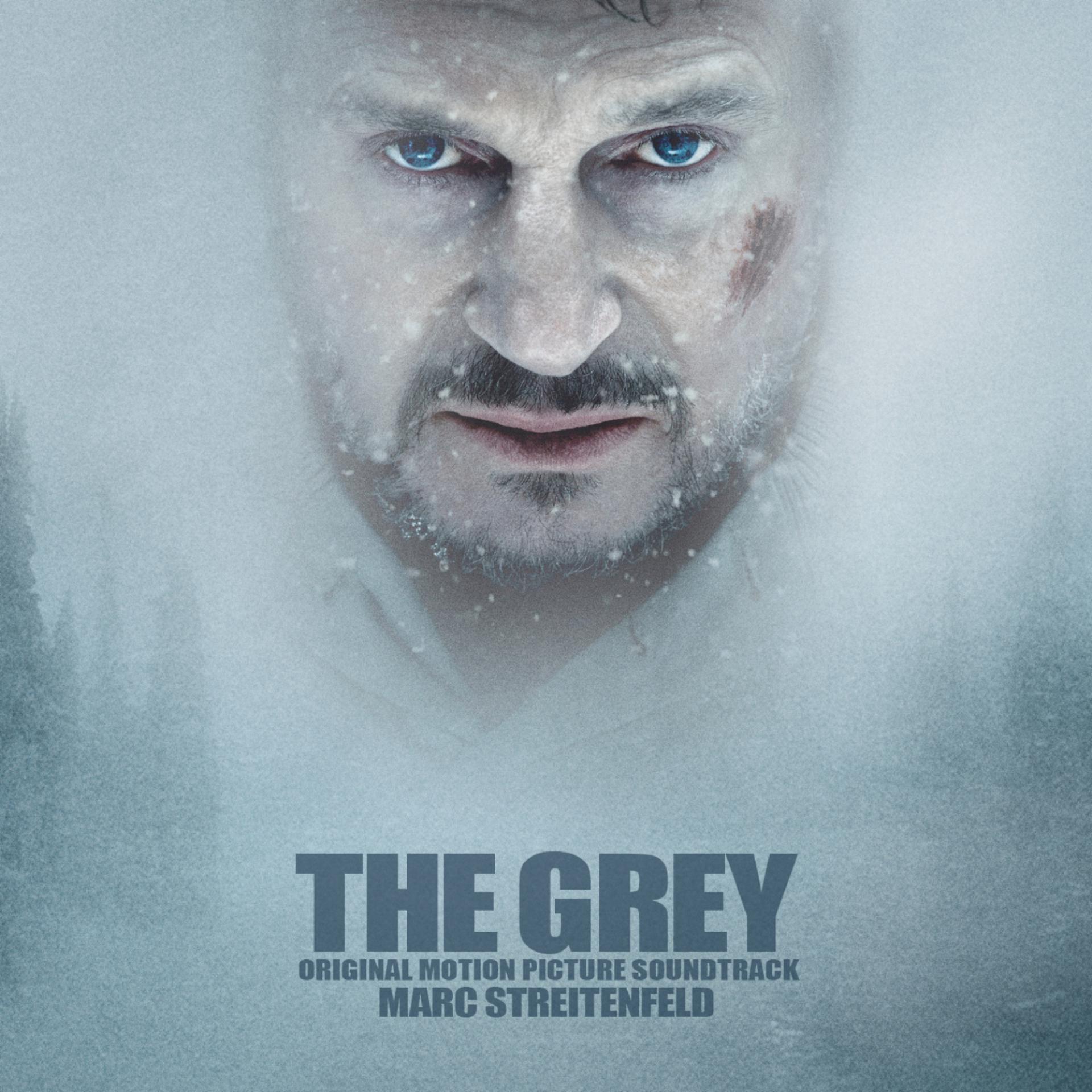 Постер альбома The Grey