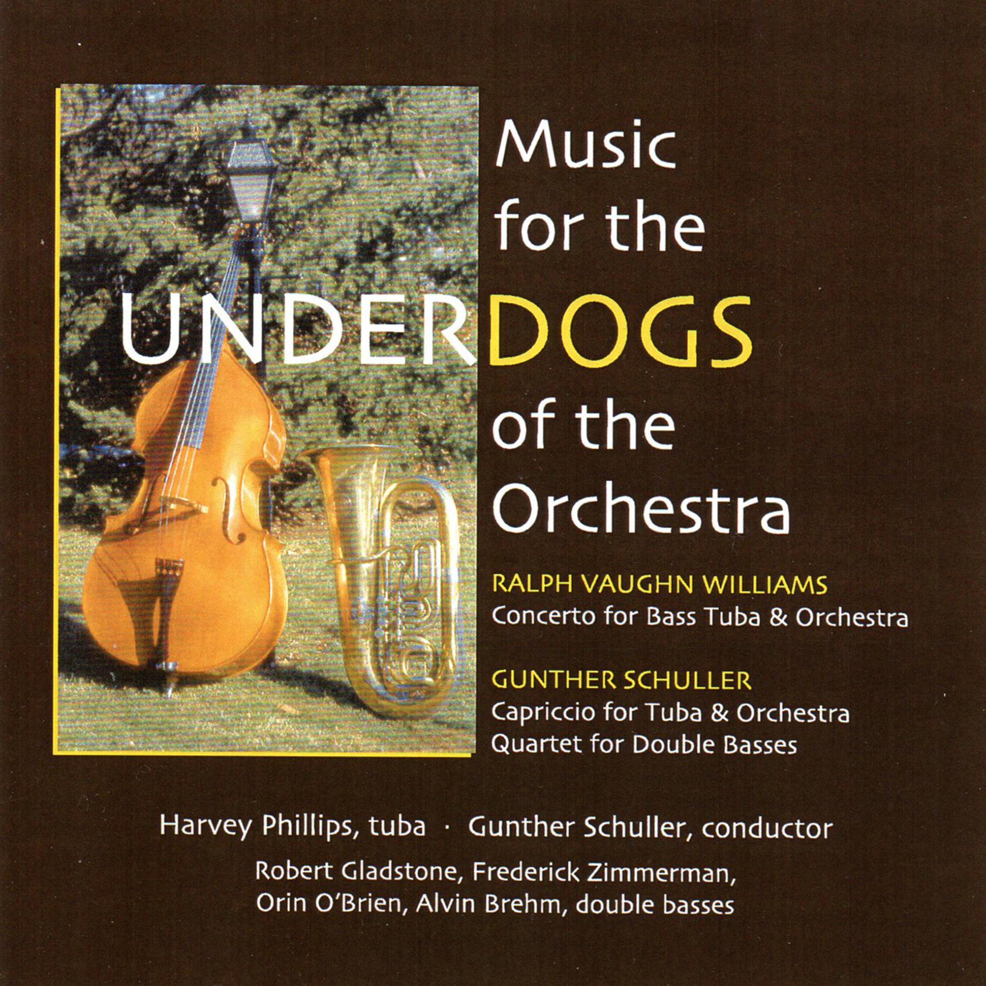 Постер альбома Music for the Underdogs of the Orchestra
