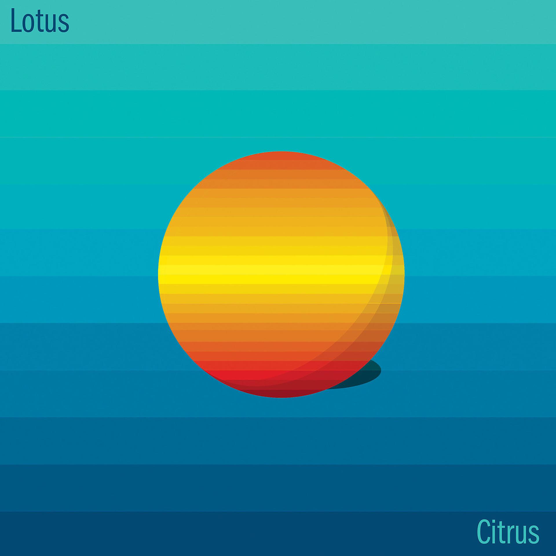 Постер альбома Citrus