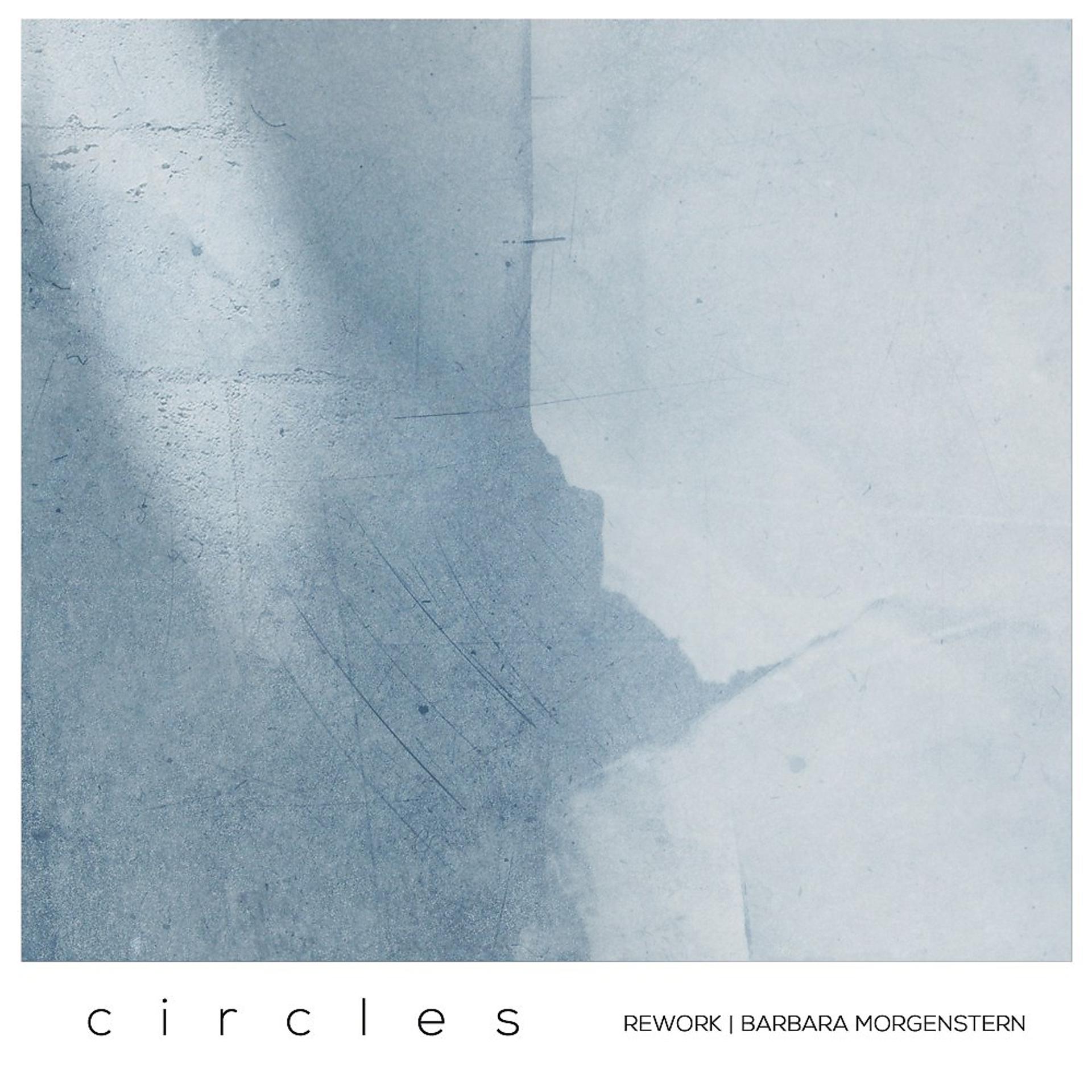 Постер альбома Circles (Barbara Morgenstern Rework)