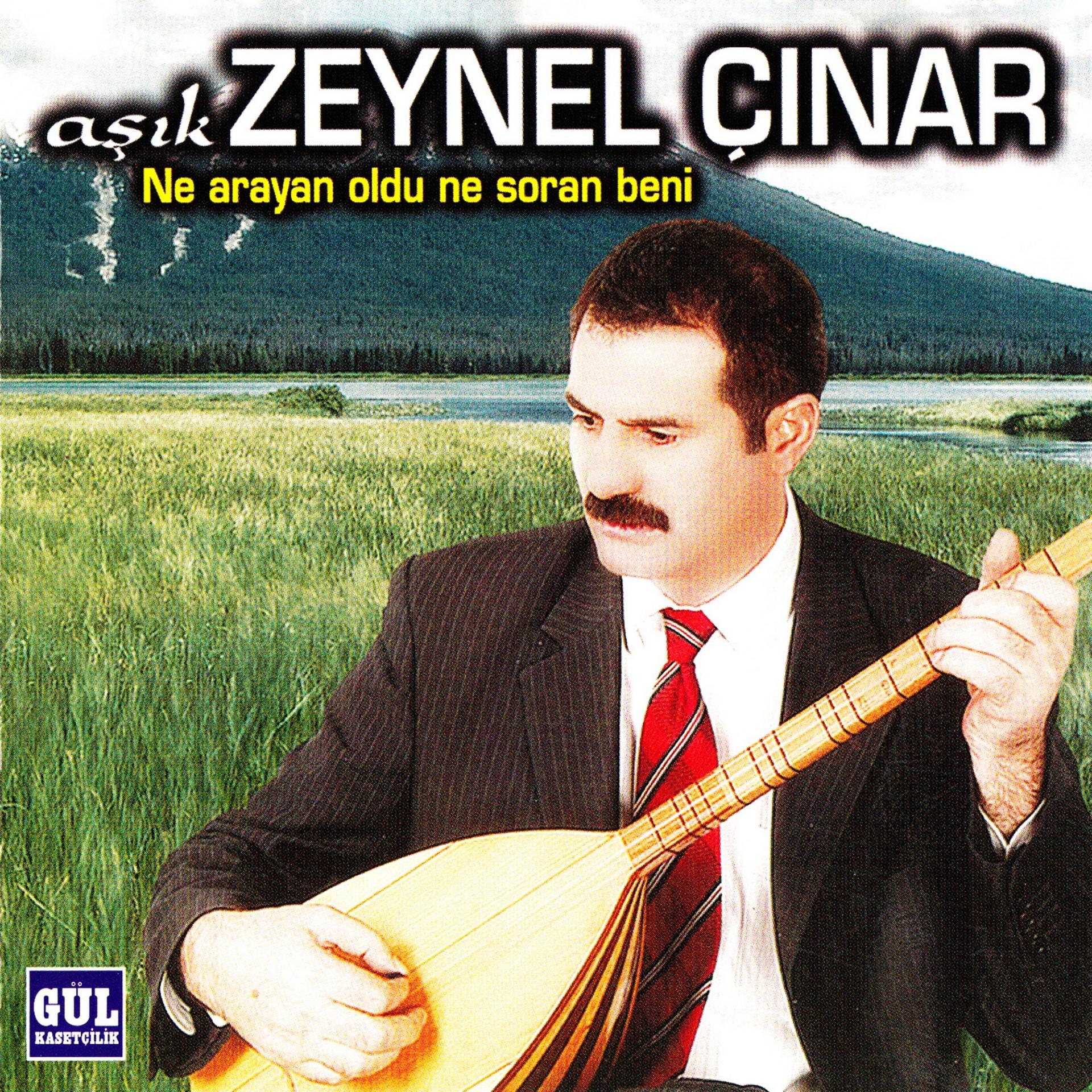 Постер альбома Ne Arayan Oldu Ne Soran Beni