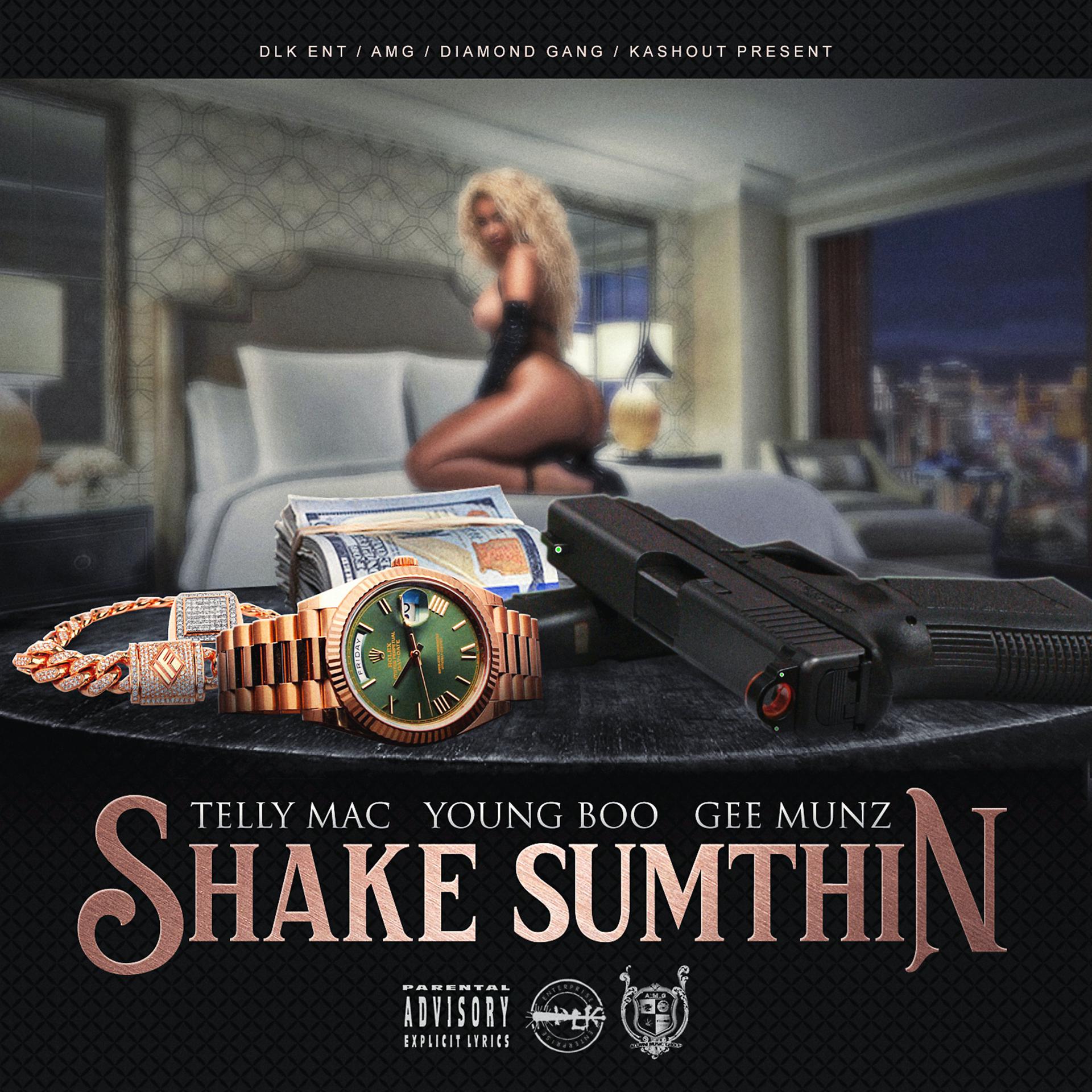 Постер альбома Shake Sumthin