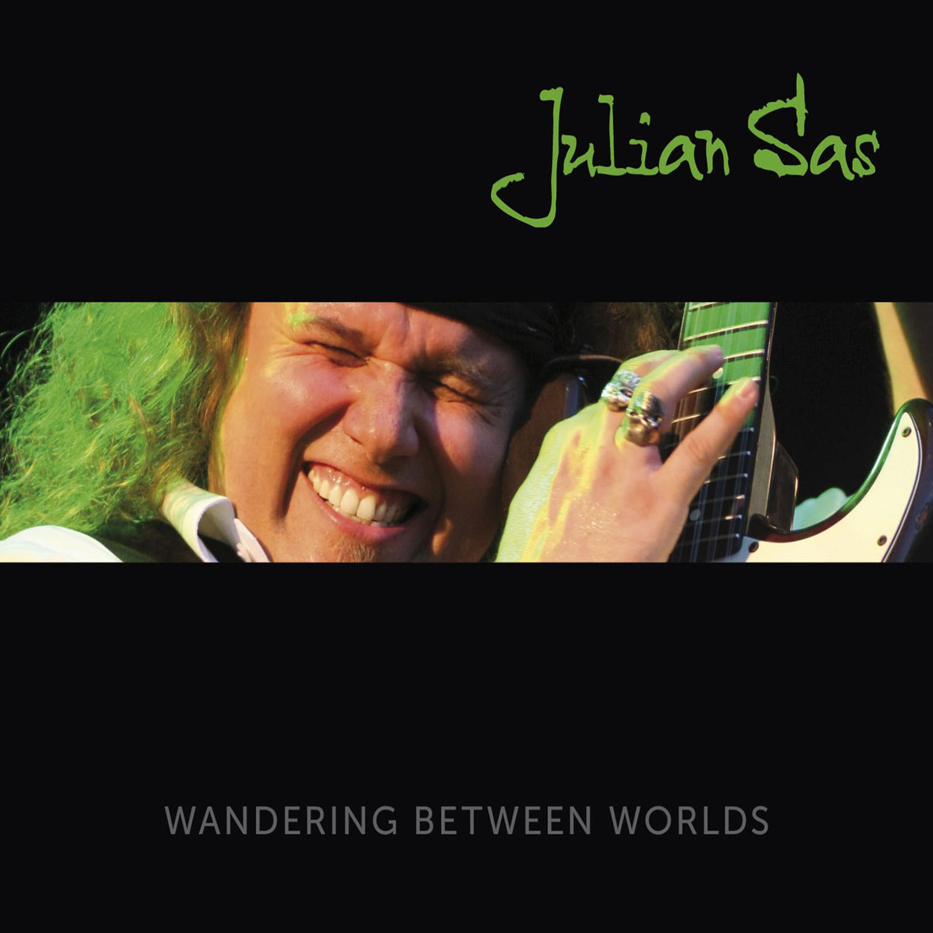 Постер альбома Wandering Between Worlds