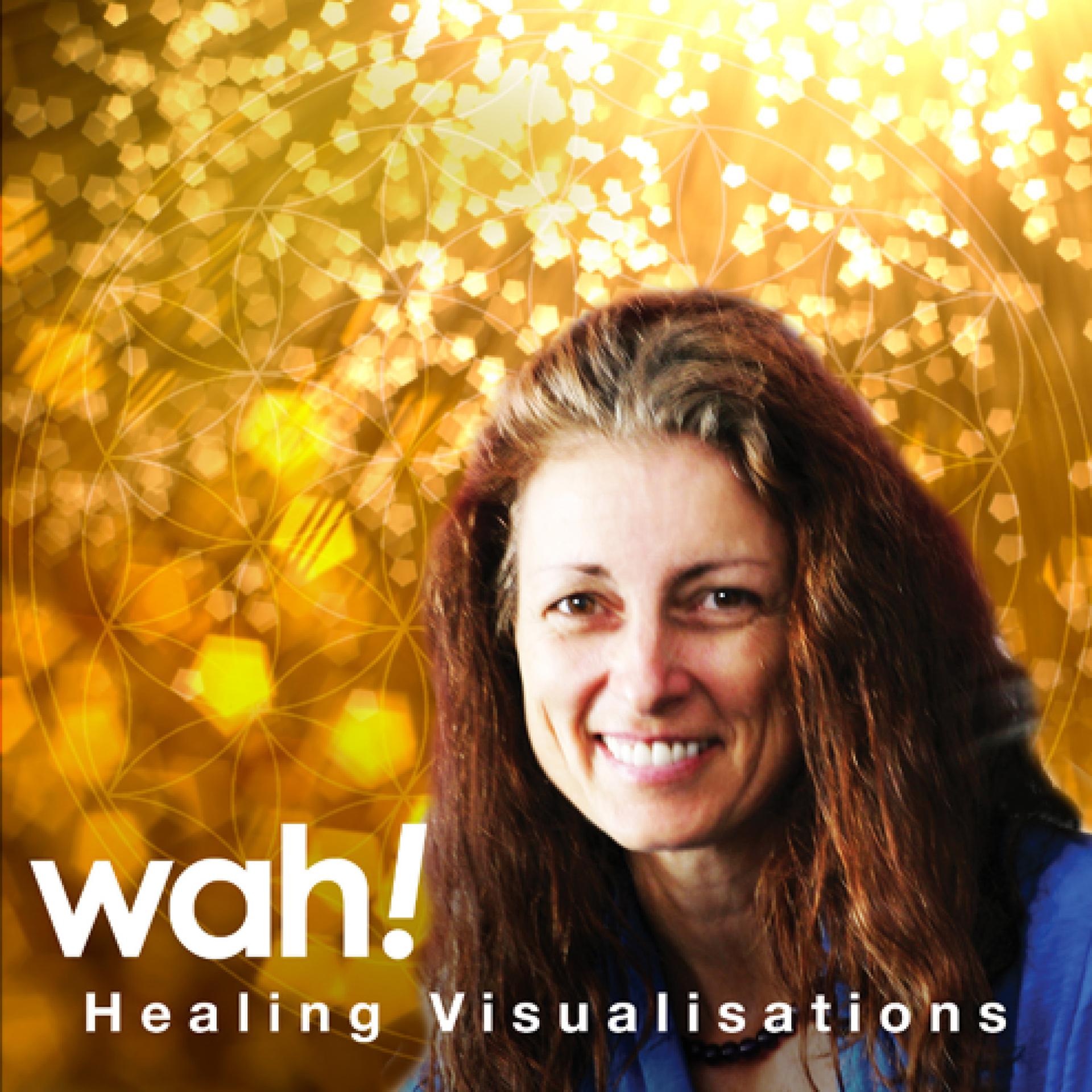 Постер альбома Healing Visualisations