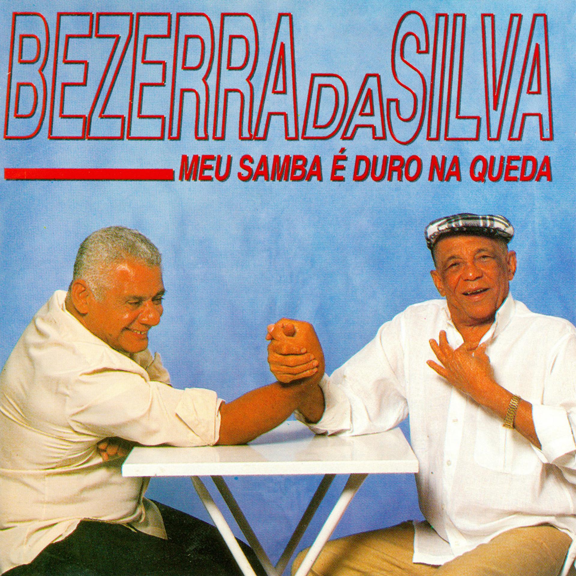 Постер альбома Meu Samba É Duro da Queda