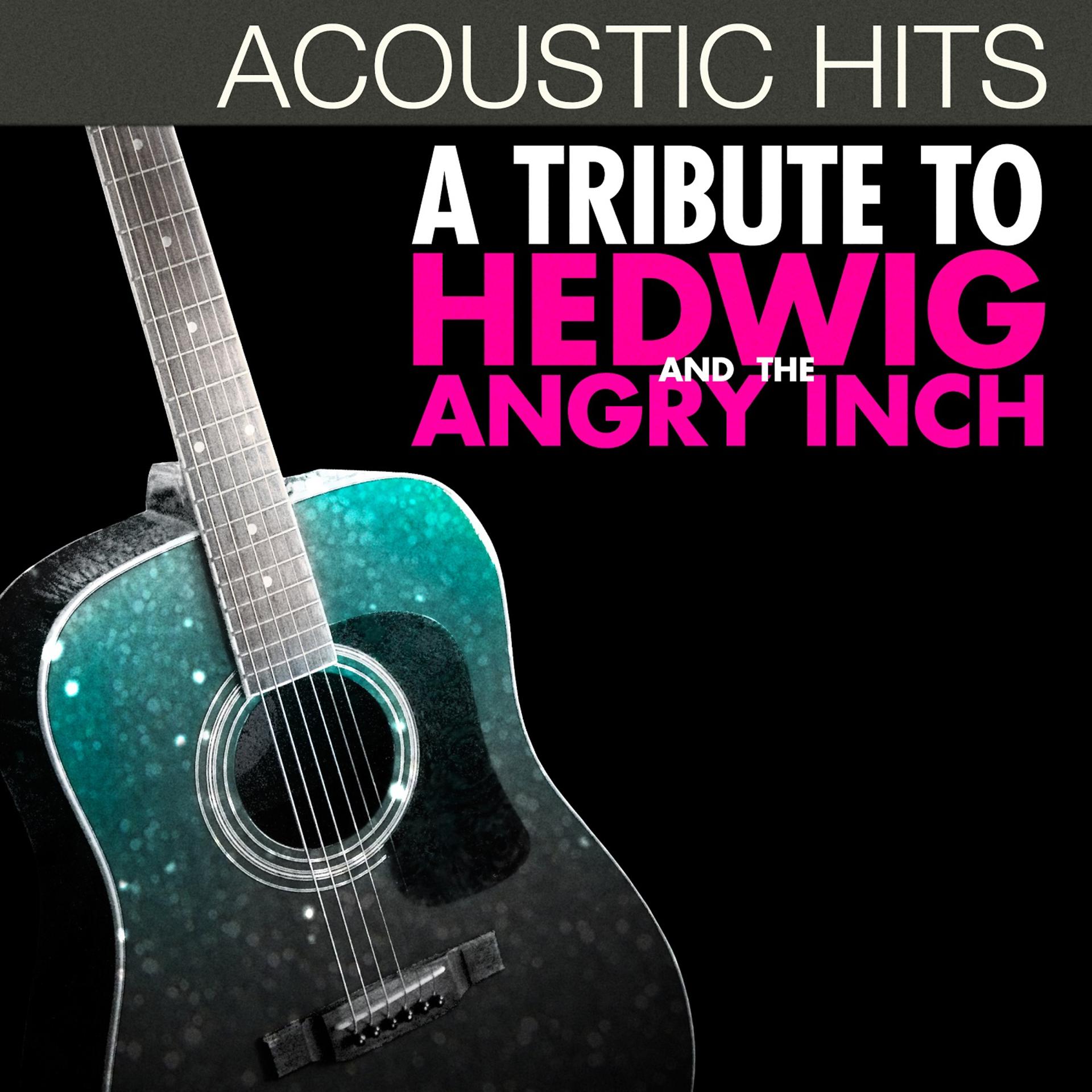 Постер альбома Acoustic Hits - A Tribute to Hedwig and the Angry Inch