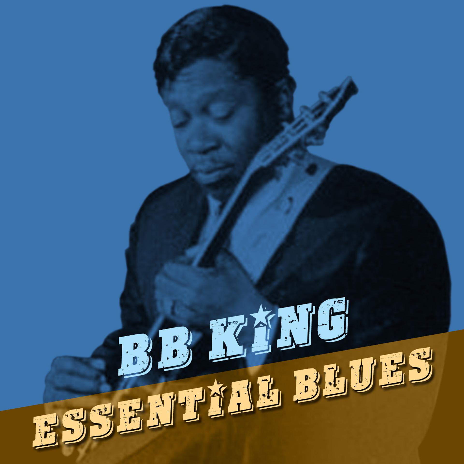 Постер альбома Essential Blues