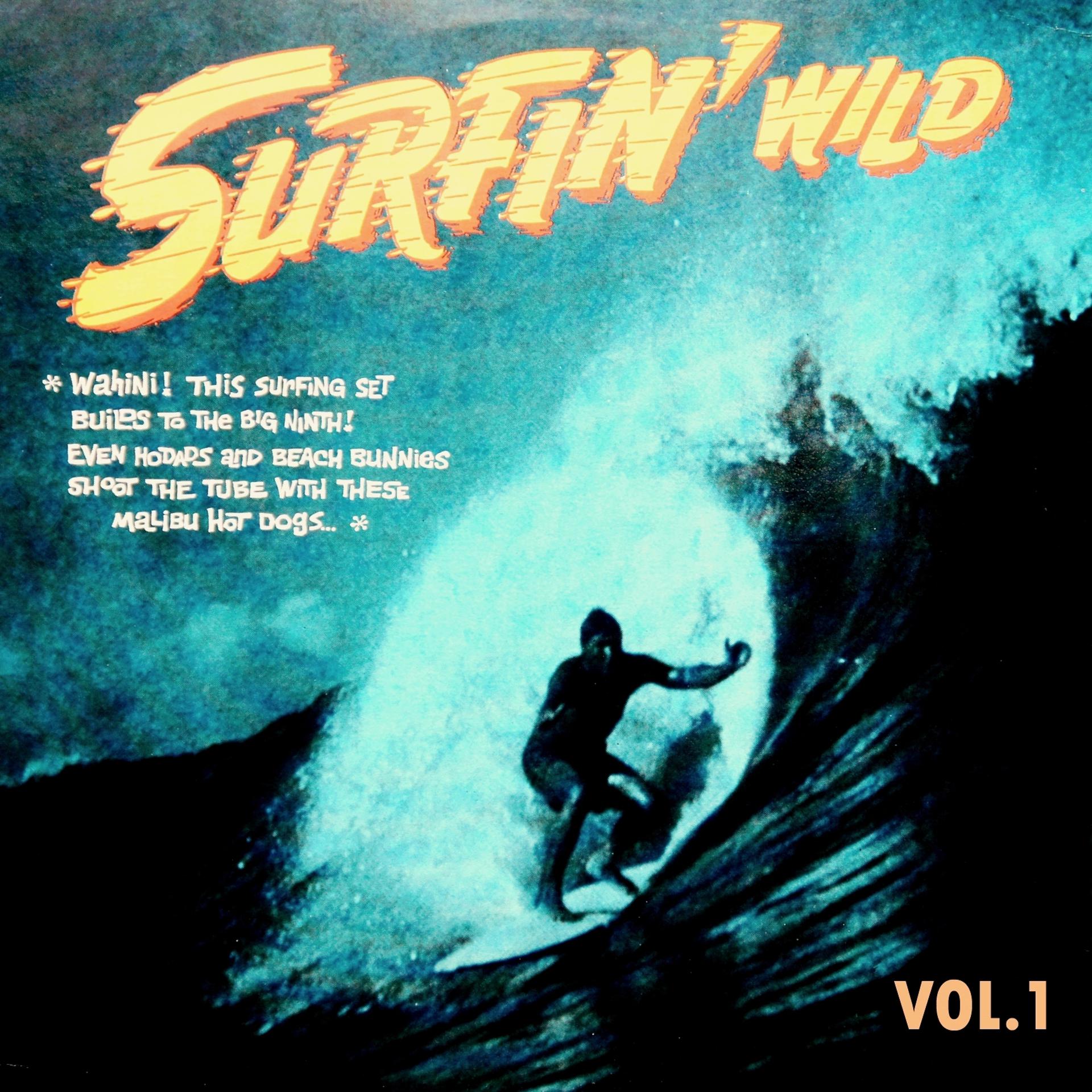 Постер альбома Surfin' Wild