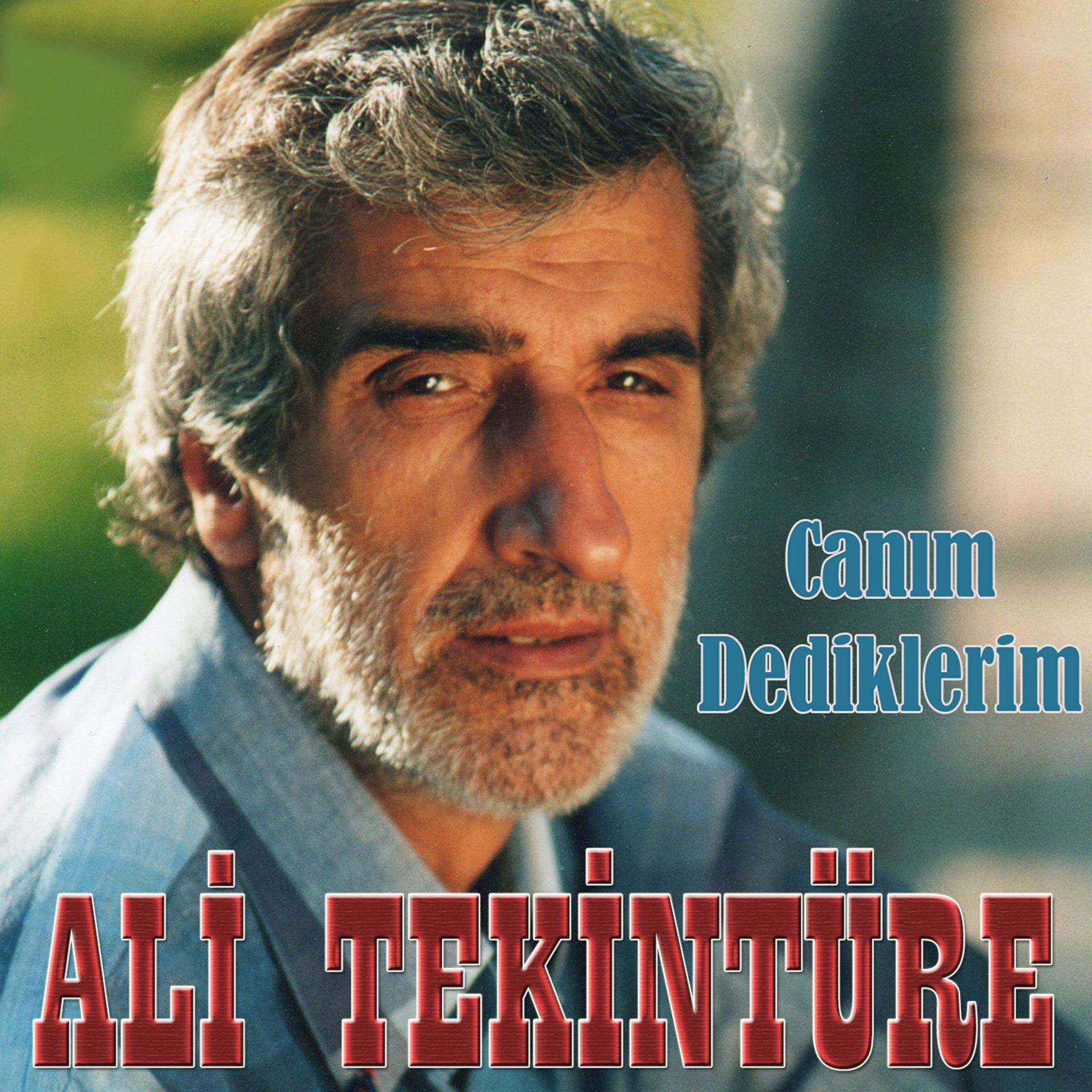 Постер альбома Canım Dediklerim