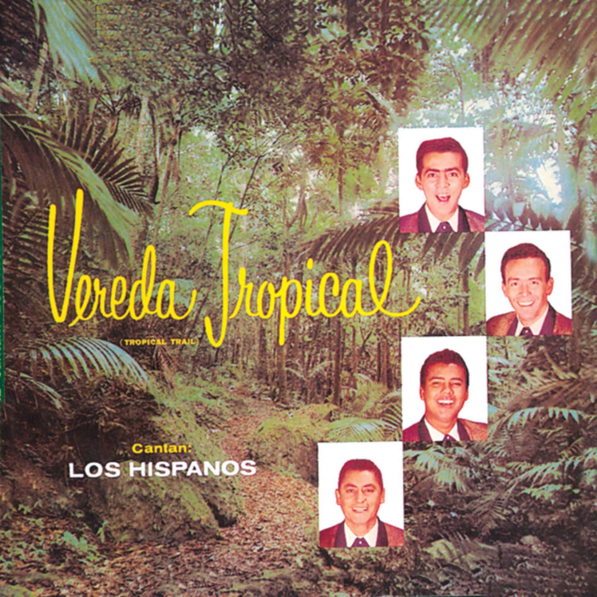 Постер альбома Vereda Tropical