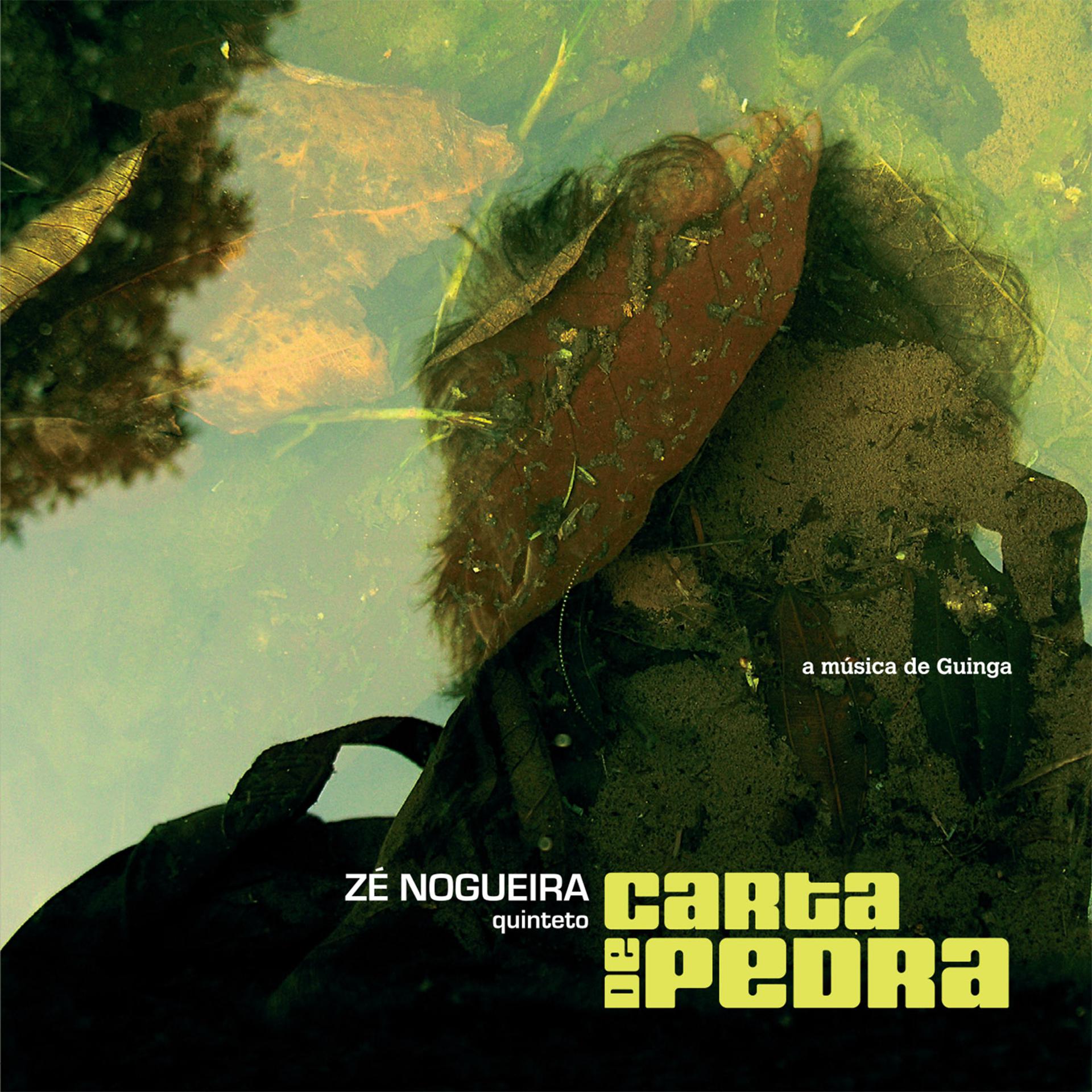 Постер альбома Carta de Pedra - a Música de Guinga