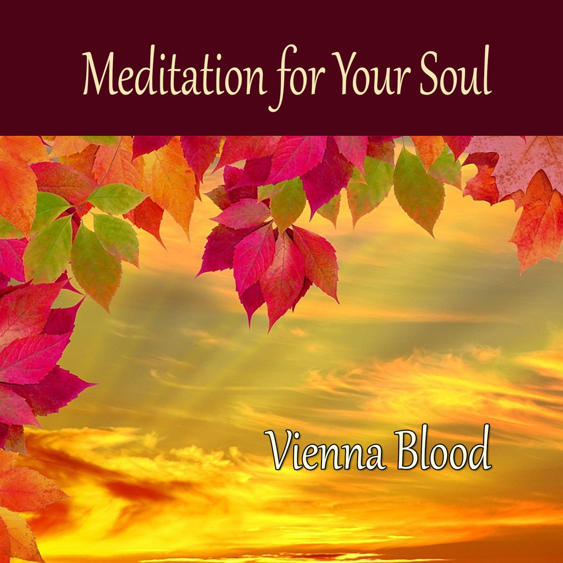 Постер альбома Meditation for Your Soul - Vienna Blood