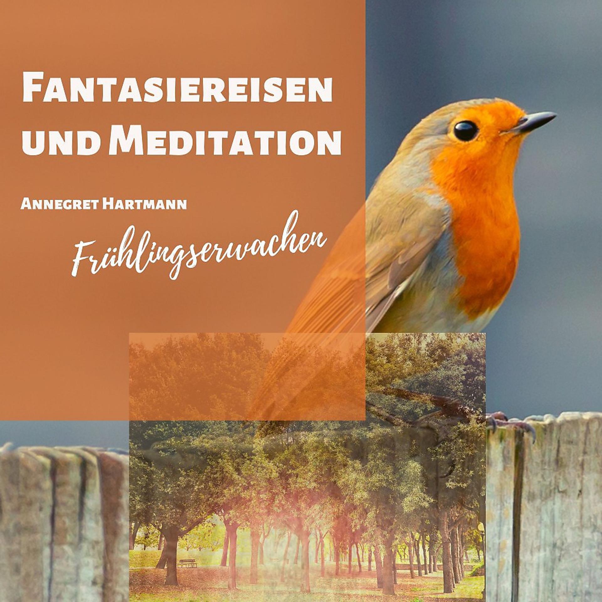 Постер альбома Fantasiereisen und Meditation (Frühlingserwachen)