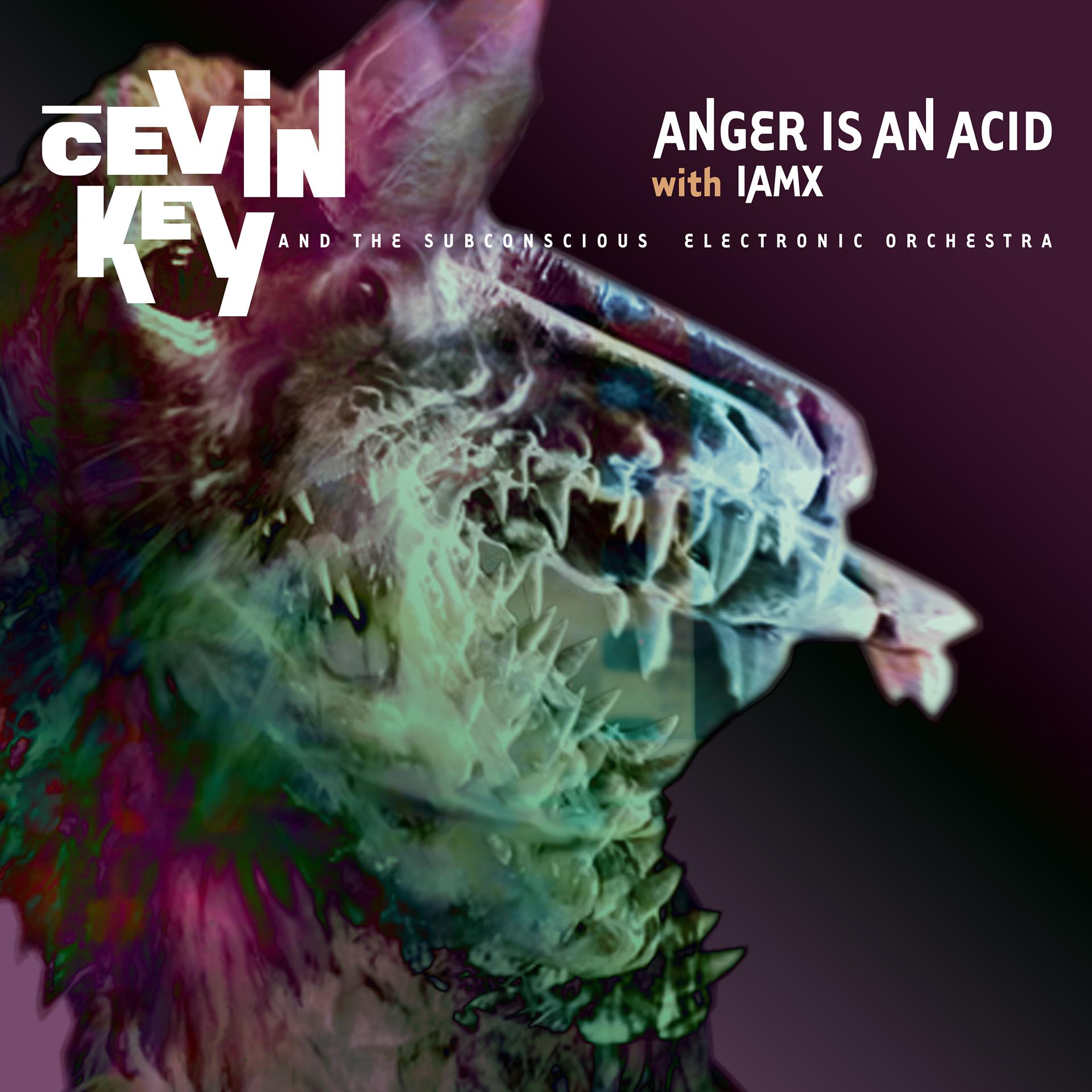 Постер альбома Anger is an Acid
