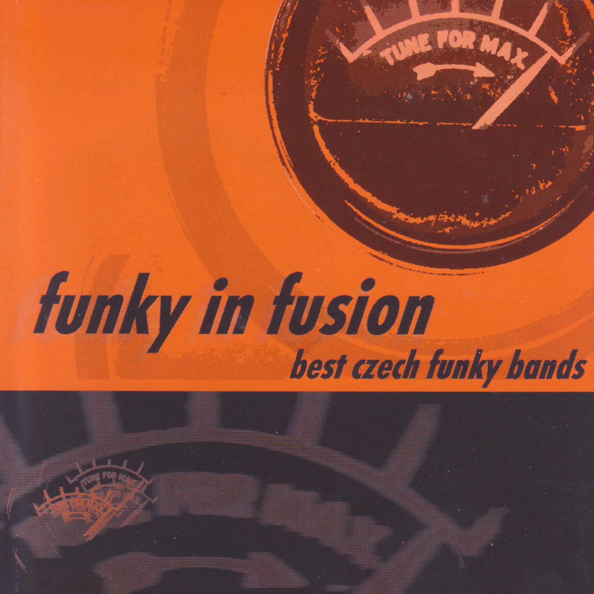 Постер альбома Funky in Fusion. Best Czech Funky Bands