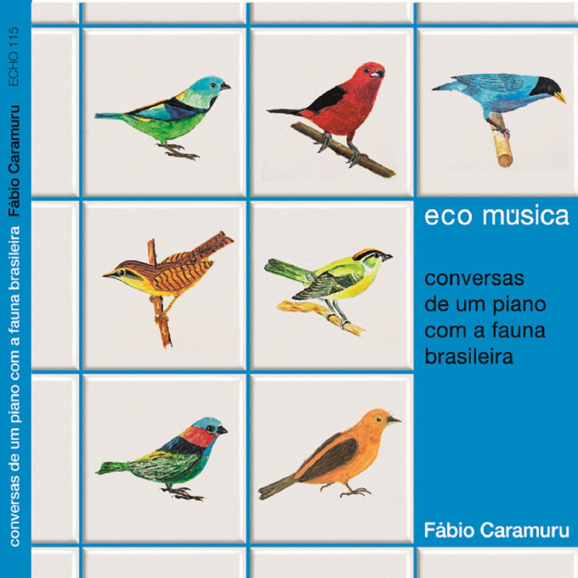Постер альбома Ecomúsica: Conversas de um Piano Com a Fauna Brasileira