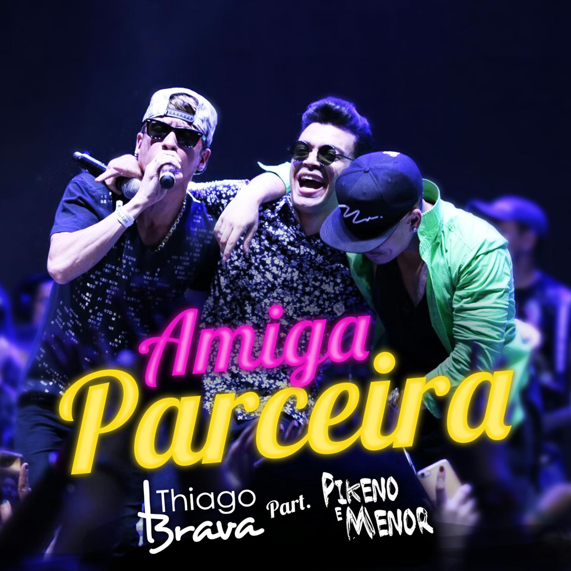 Постер альбома Amiga Parceira - Single