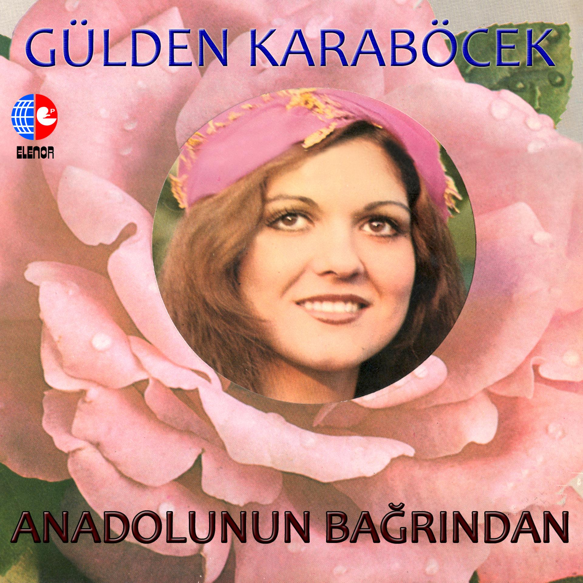 Постер альбома Anadolunun Bağrından