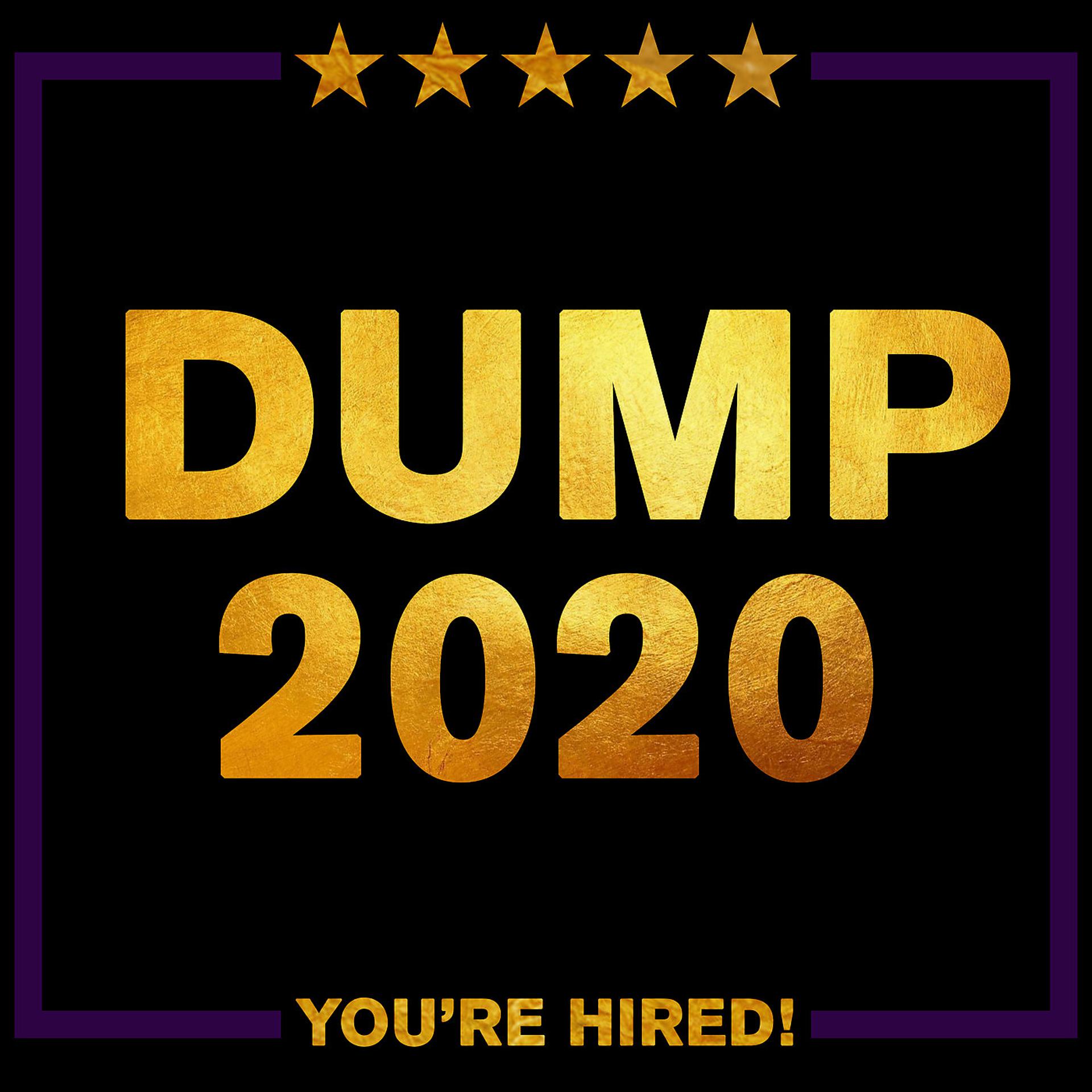 Постер альбома Dump 2020: You're Hired